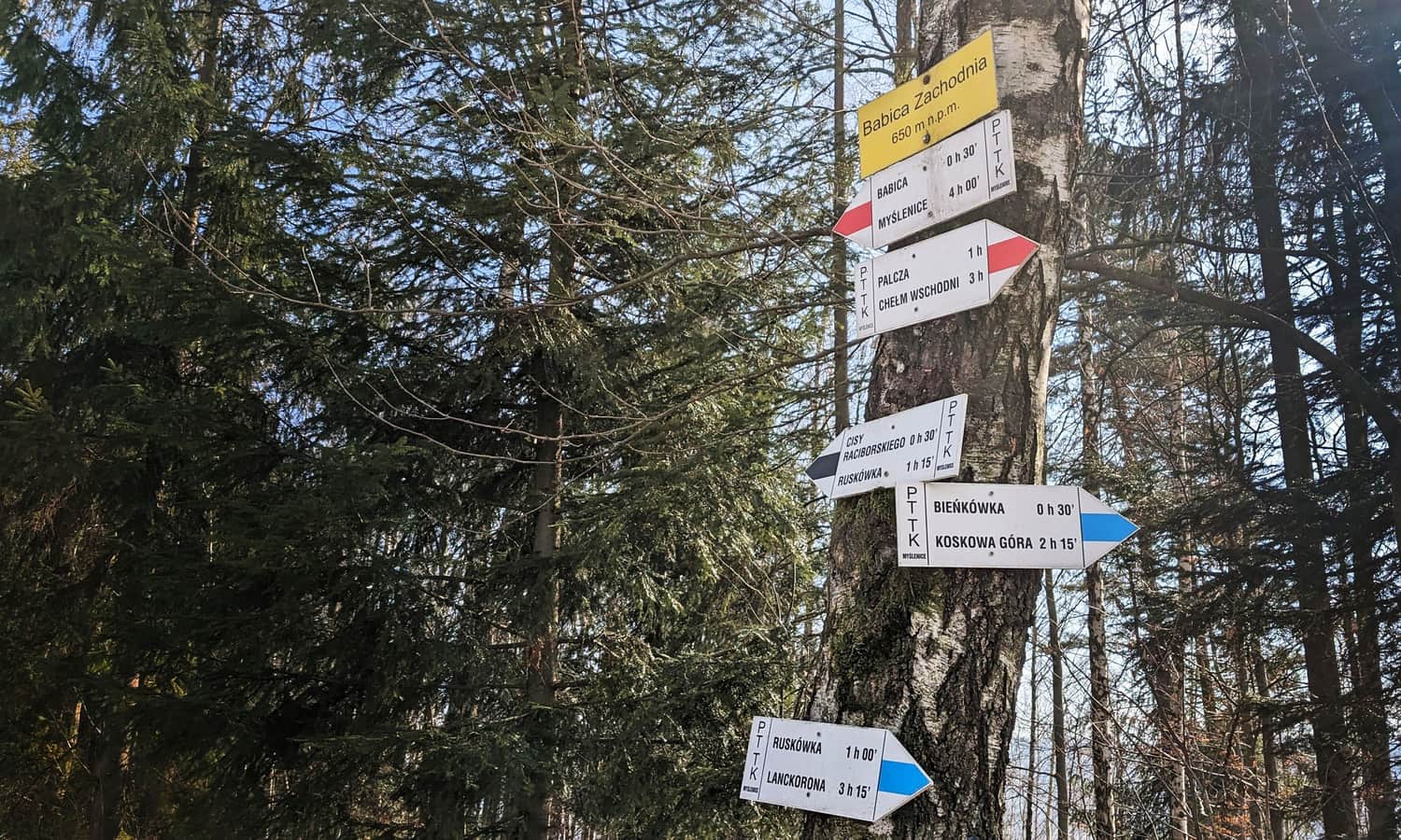 Skrzyżowanie szlaków na Babicy Zachodniej.