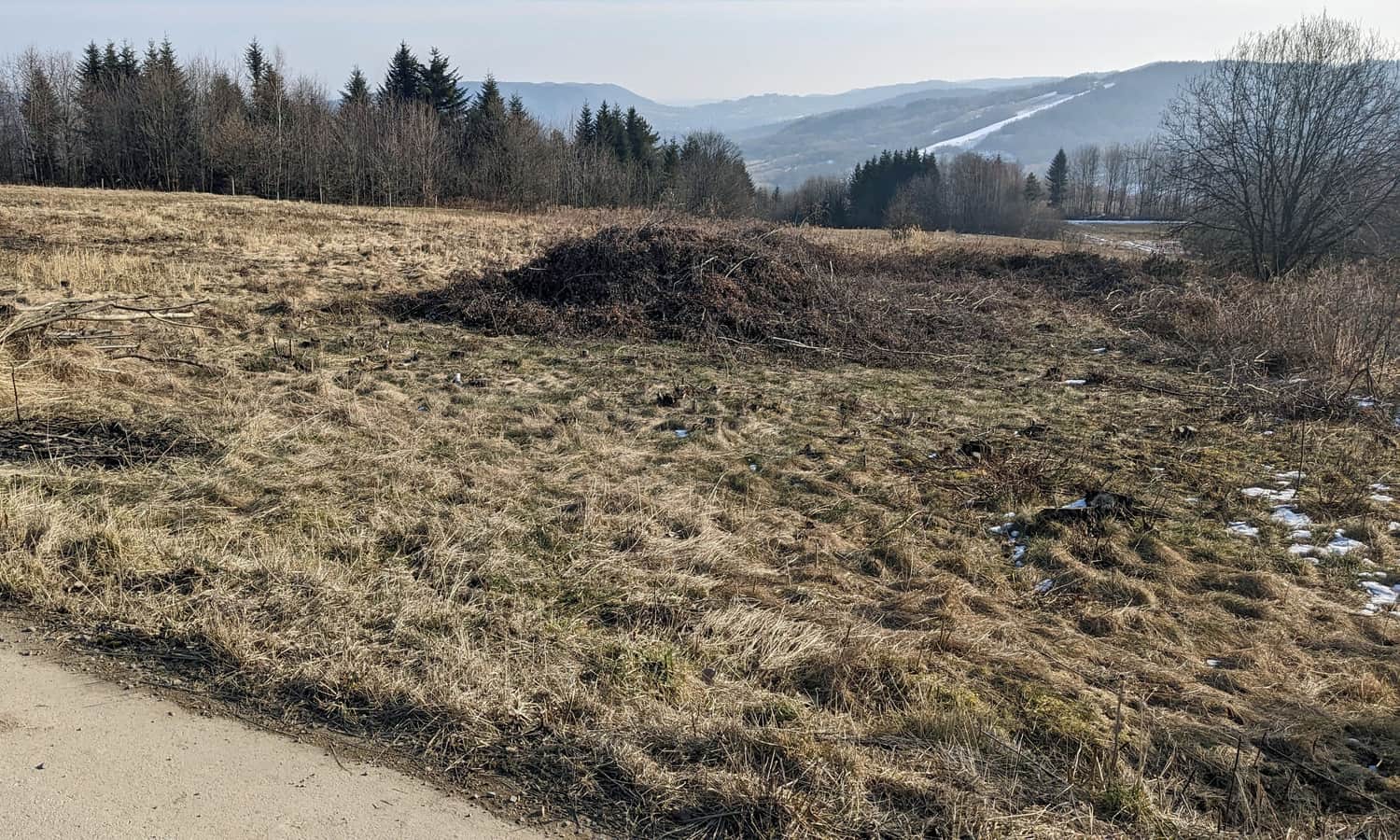 Z Przełęczy Sanguszki do Lasu Groby. Widok na Barnasiówkę i stok narciarski na Szklanej Górze 