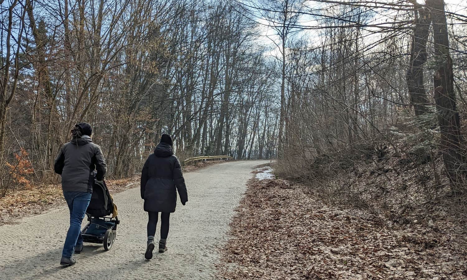 Droga serpentynowa: Ojców - Biały Kościół Murownia