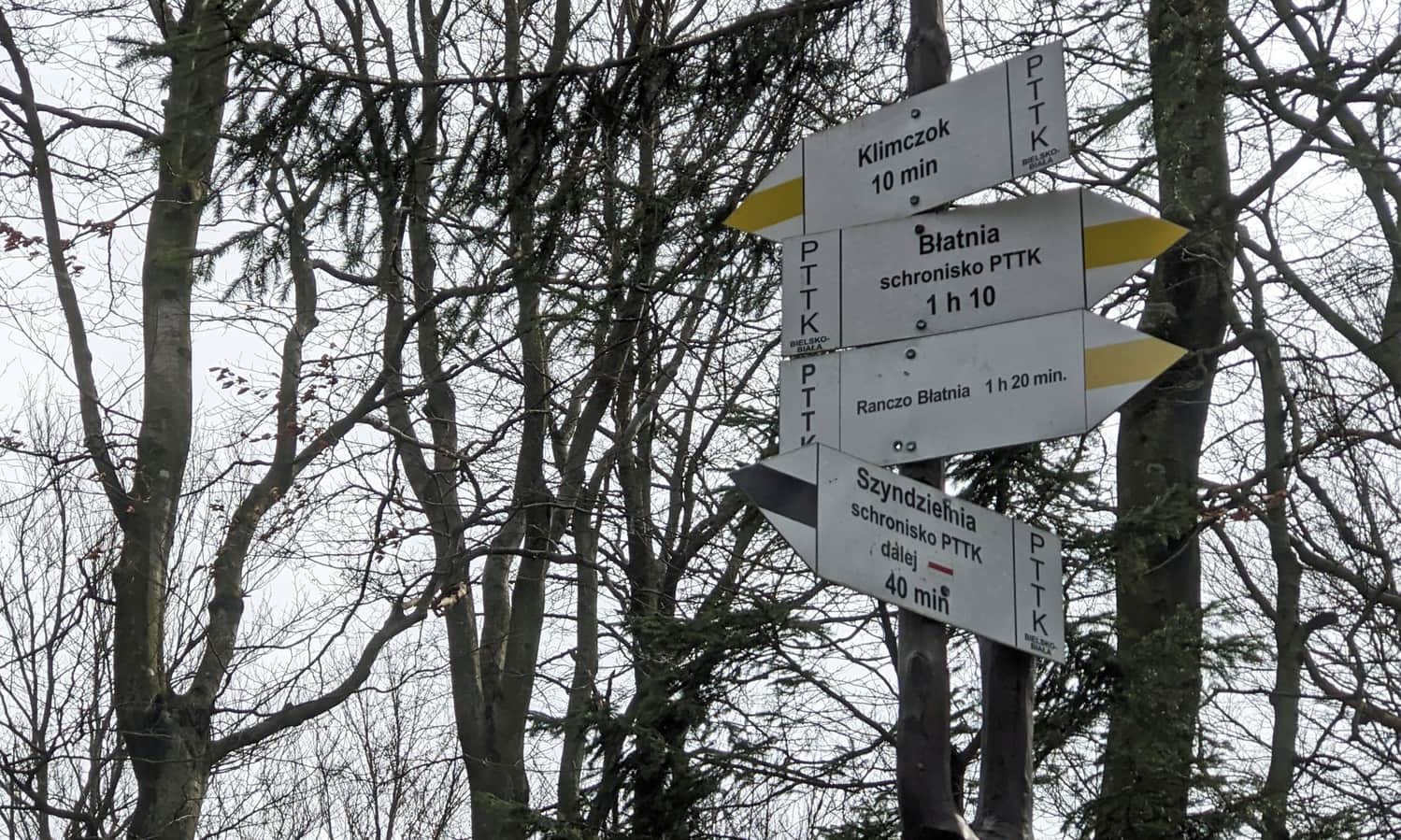 Z Szyndzielni na Błatnią: z czarnego skręcamy na żółty szlak w prawo