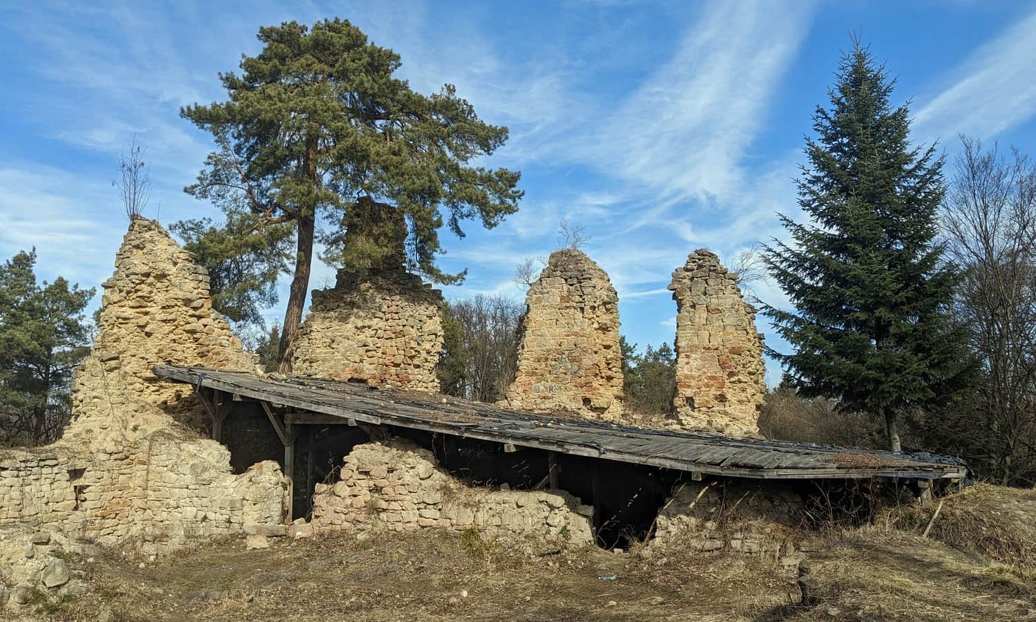 Zamek Górny w Rożnowie - ruiny Zamku Zawiszy Czarnego