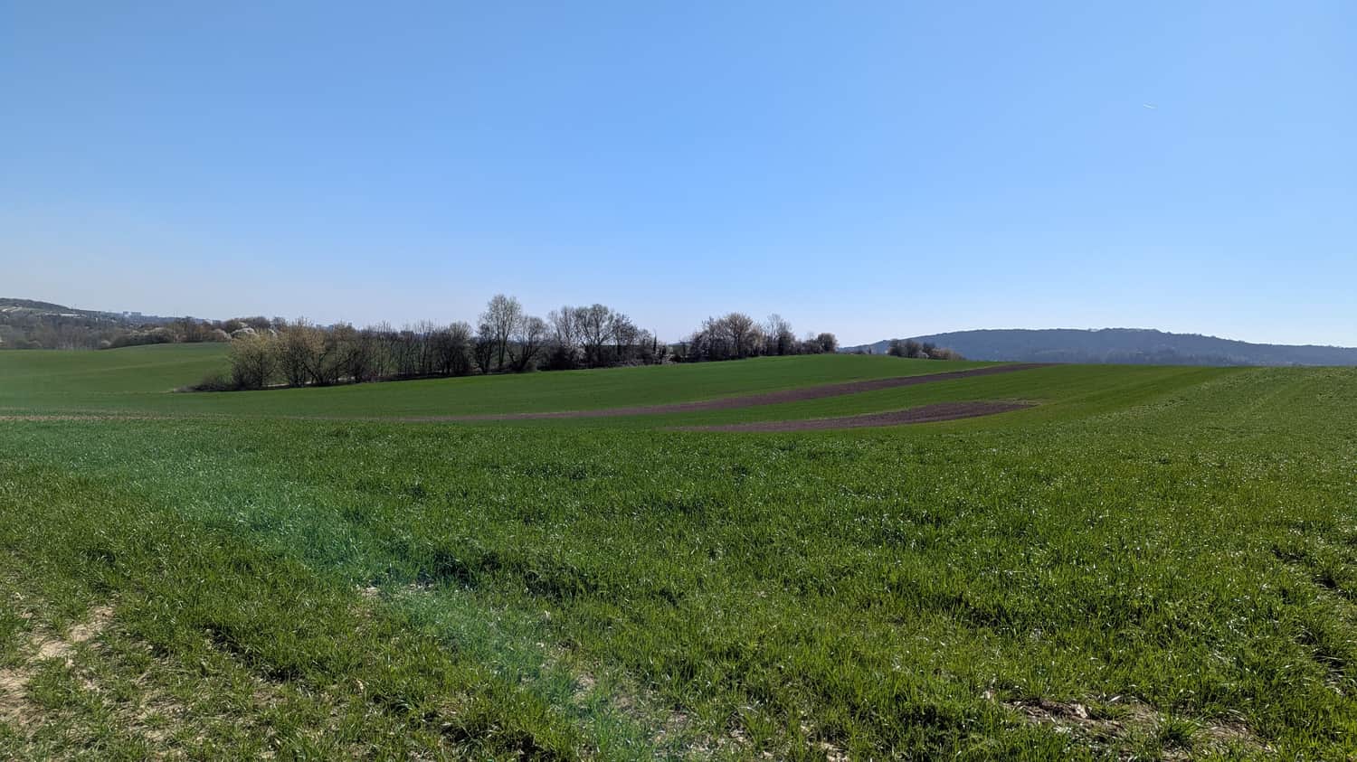 Widok na wzgórze Sowiniec z Kopcem Piłsudskiego
