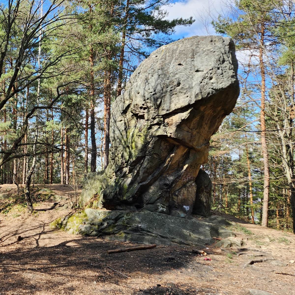 Z Sułkowic na Kaniową Gorę, pod Diabelski Kamień i do polany widokowej
