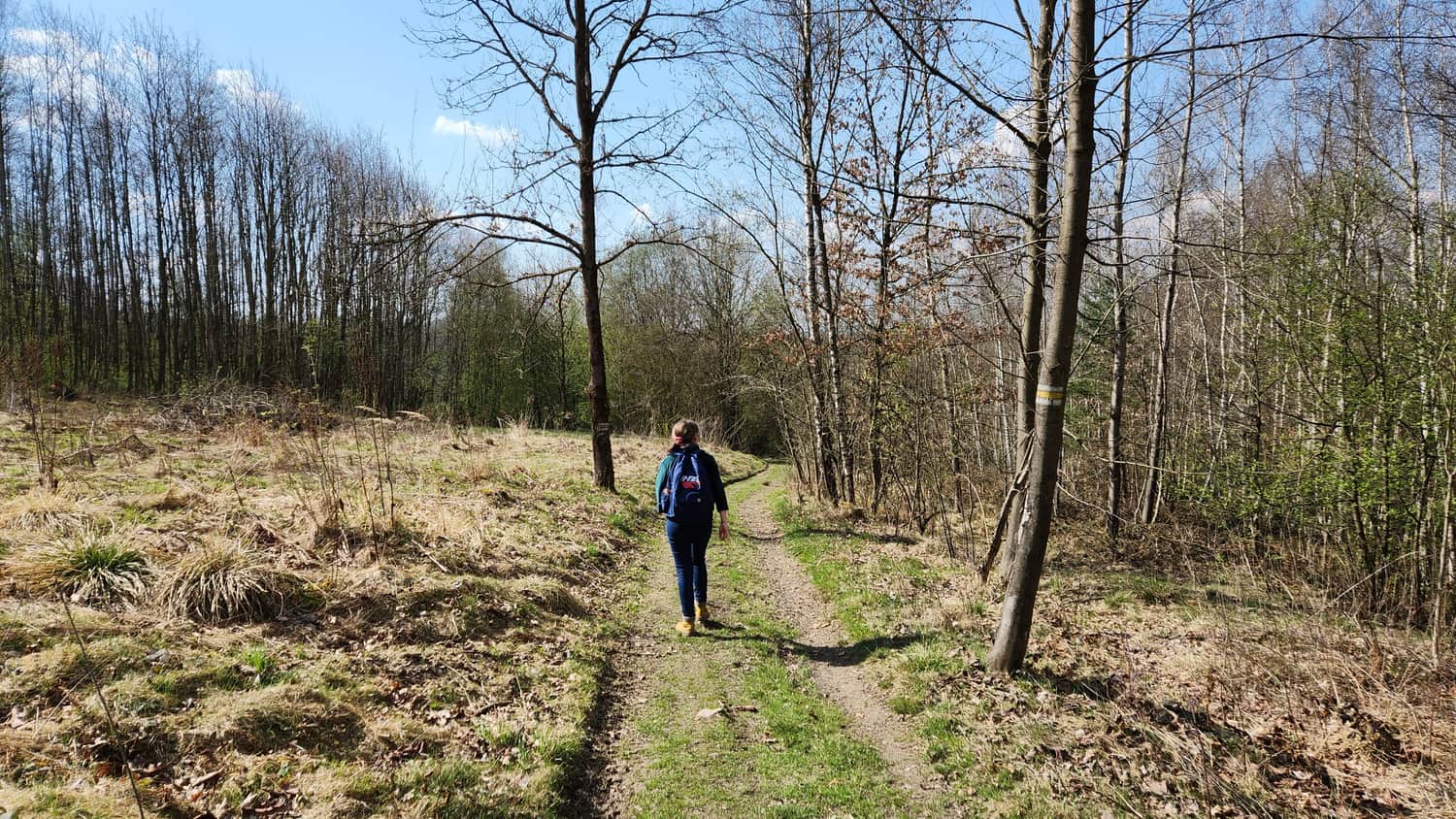 Początek żółtego szlaku przy zalewie w Sułkowicach
