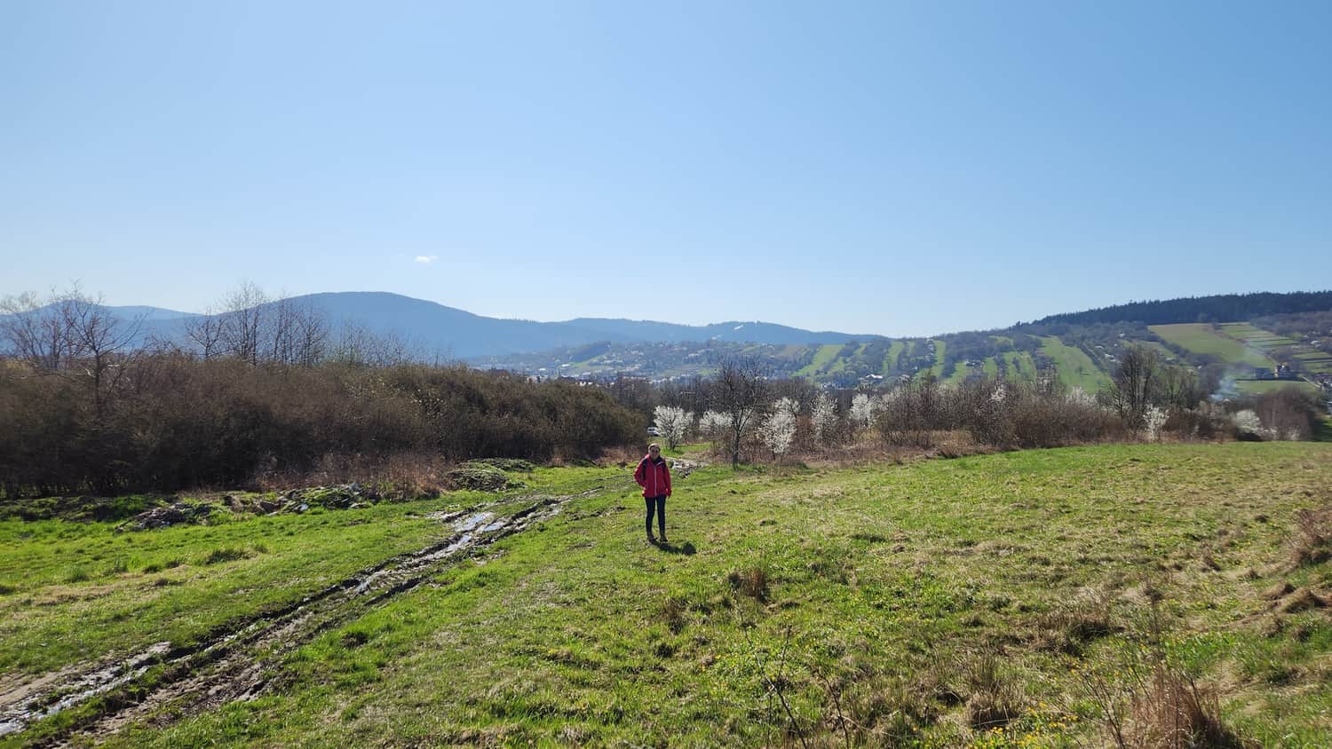 Scenic meadows at the foot of the Barnasiówka Range on the Myślenice side