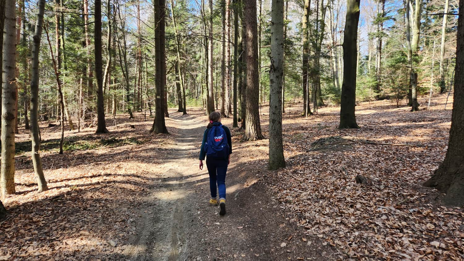 Hiking the Barnasiówka ridge
