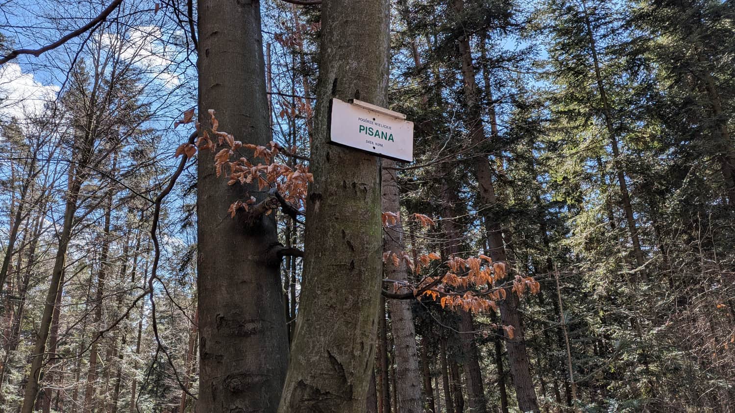 Pisana summit