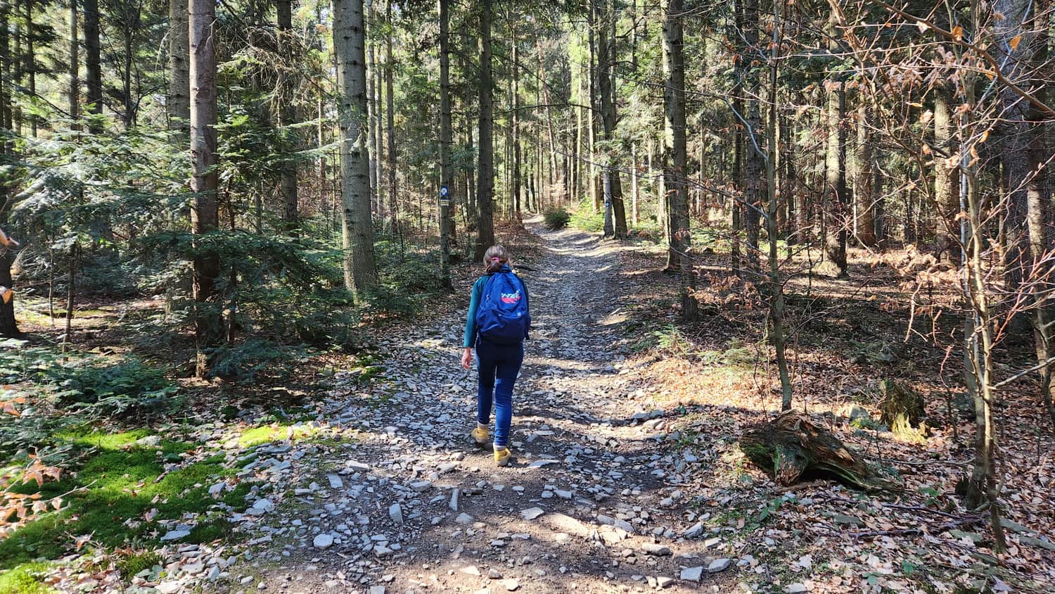 Hiking along the ridge of the Barnasiówka Range