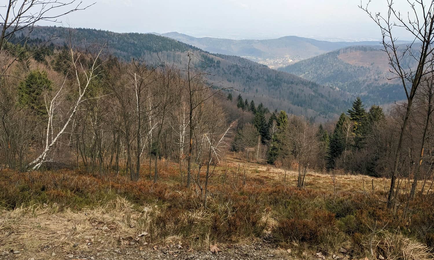 Szlak Białych Serc, widok ze szlaku na północ, tuż przed dojściem do schroniska