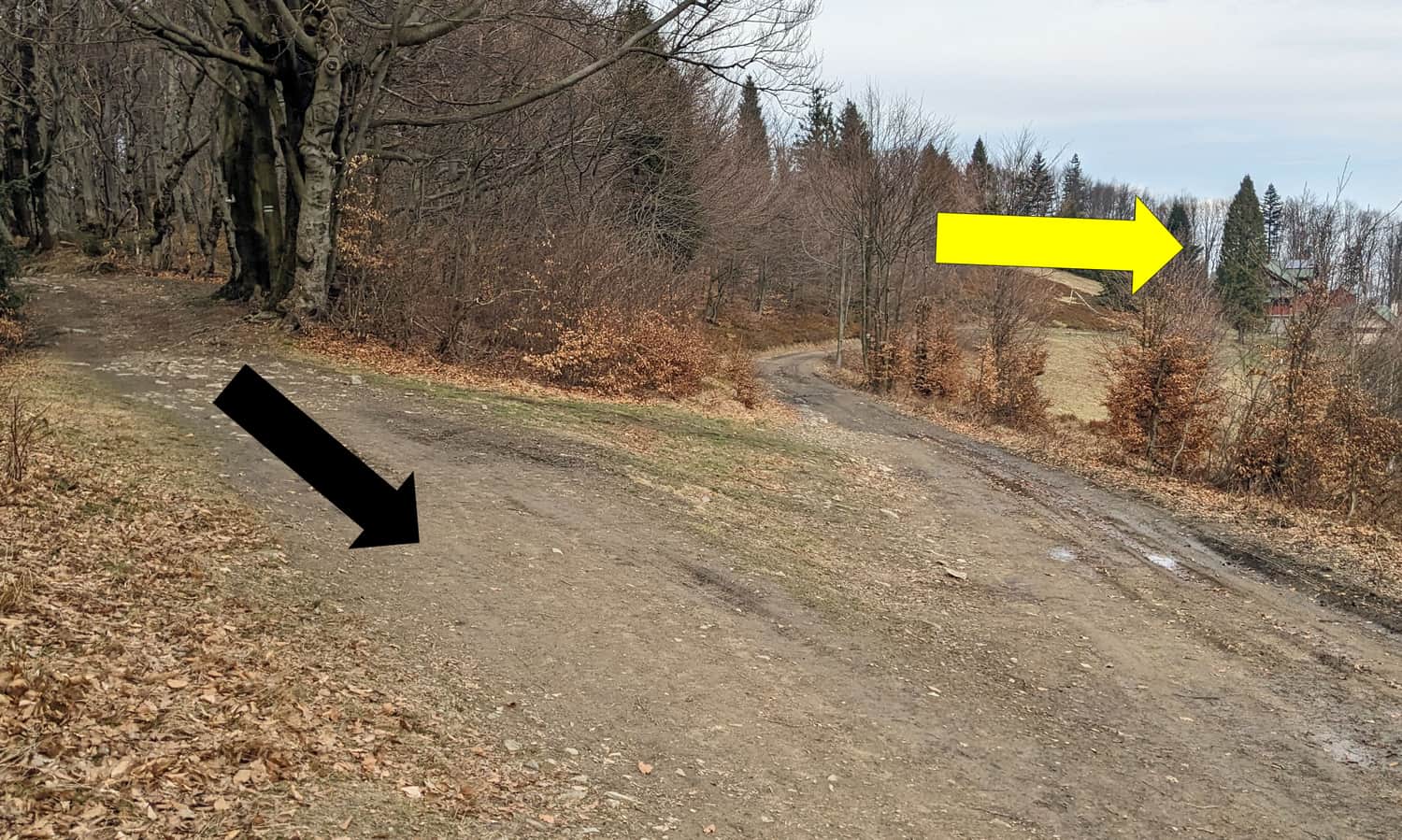Przełęcz W. Midowicza. Czarna strzałka pokazuje, gdzie wychodzimy z lasu, a żółta wskazuje Schronisko PTTK Leskowiec