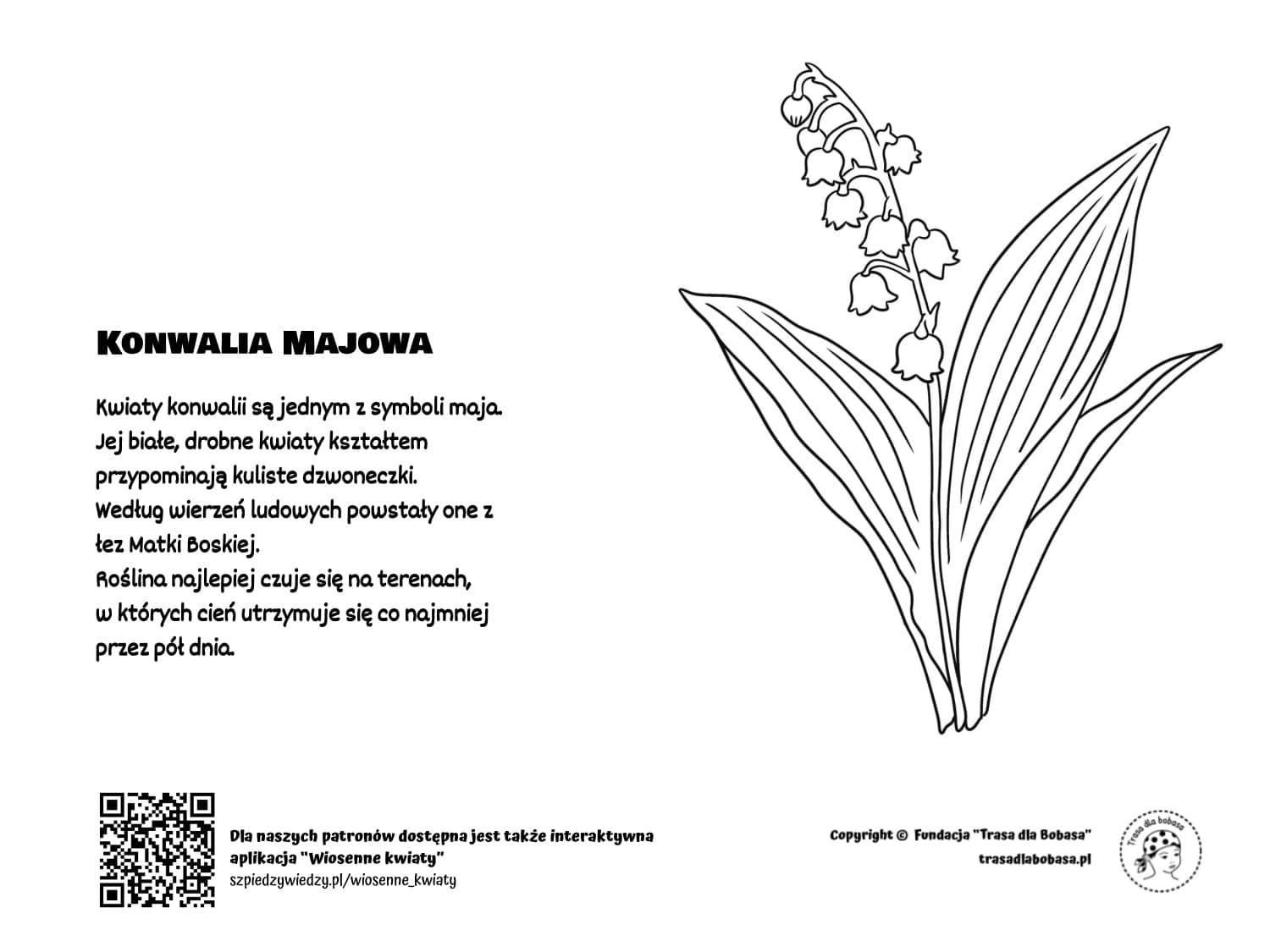 Konwalia - kolorowanka dla dzieci pdf do wydruku