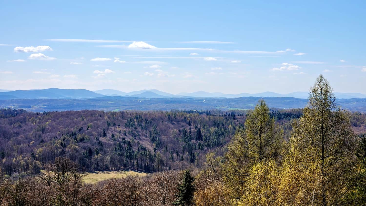 View from the tower on Bocheniec