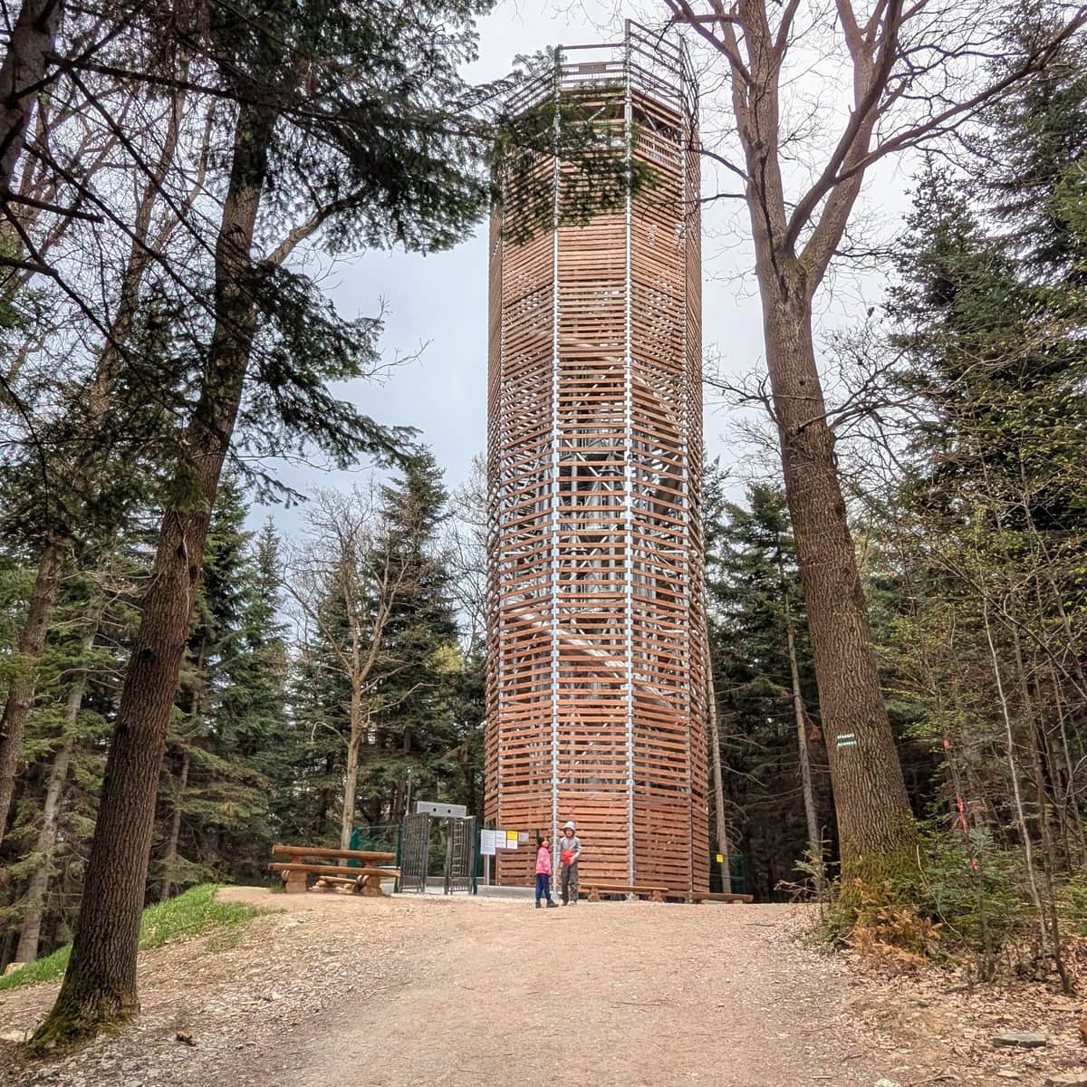Łysula - wieża widokowa ze zjeżdżalnią niedaleko Gorlic