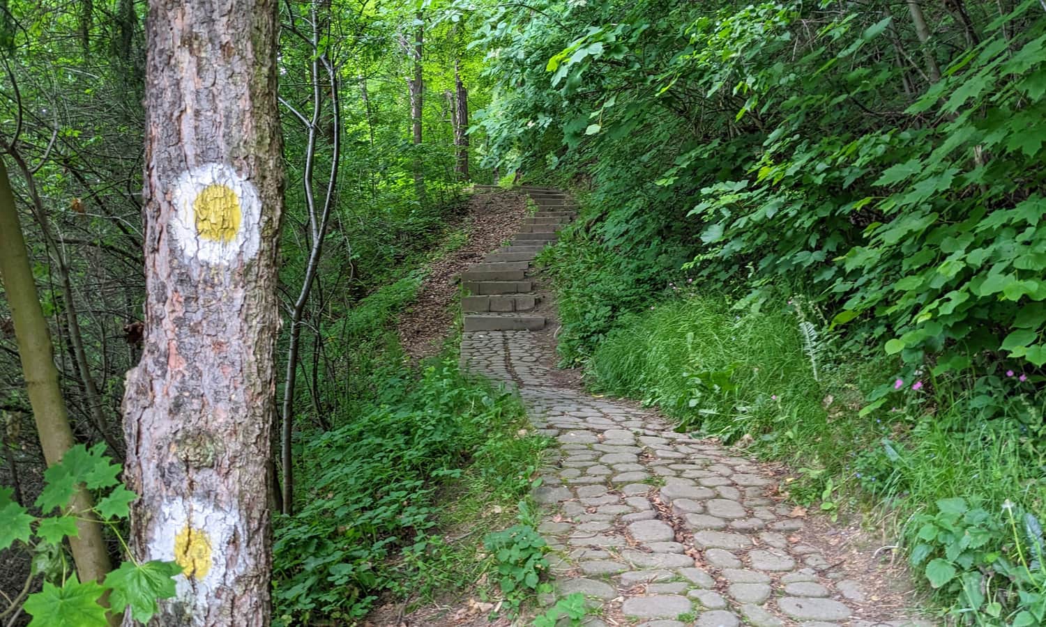 Szlak 