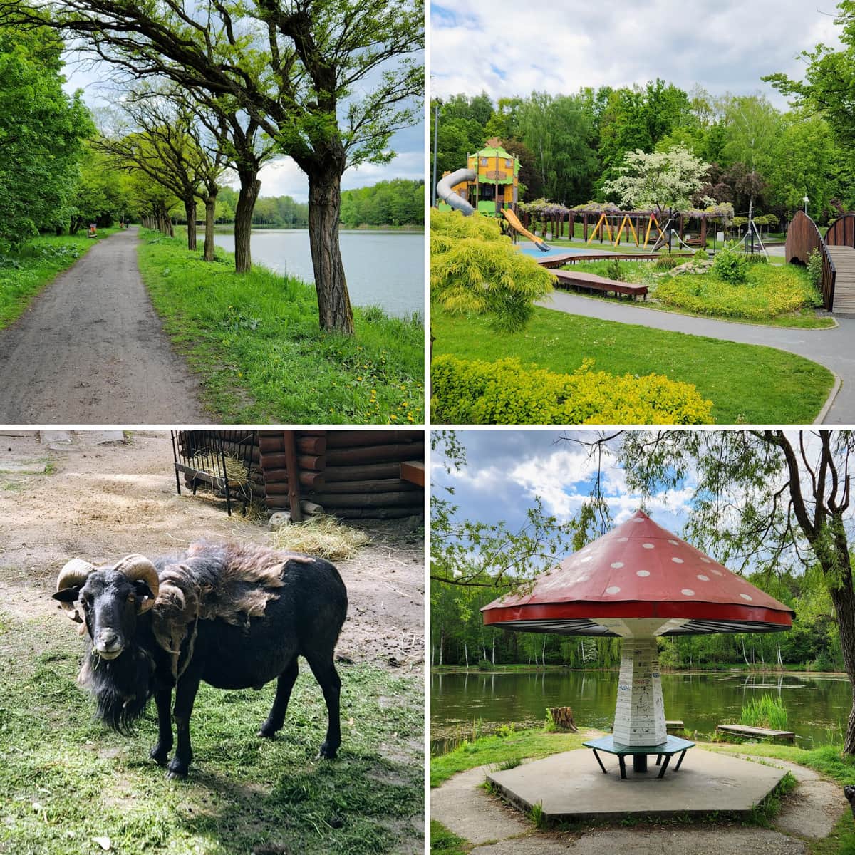 Park Jacka Kuronia w Kazimierzu Górniczym