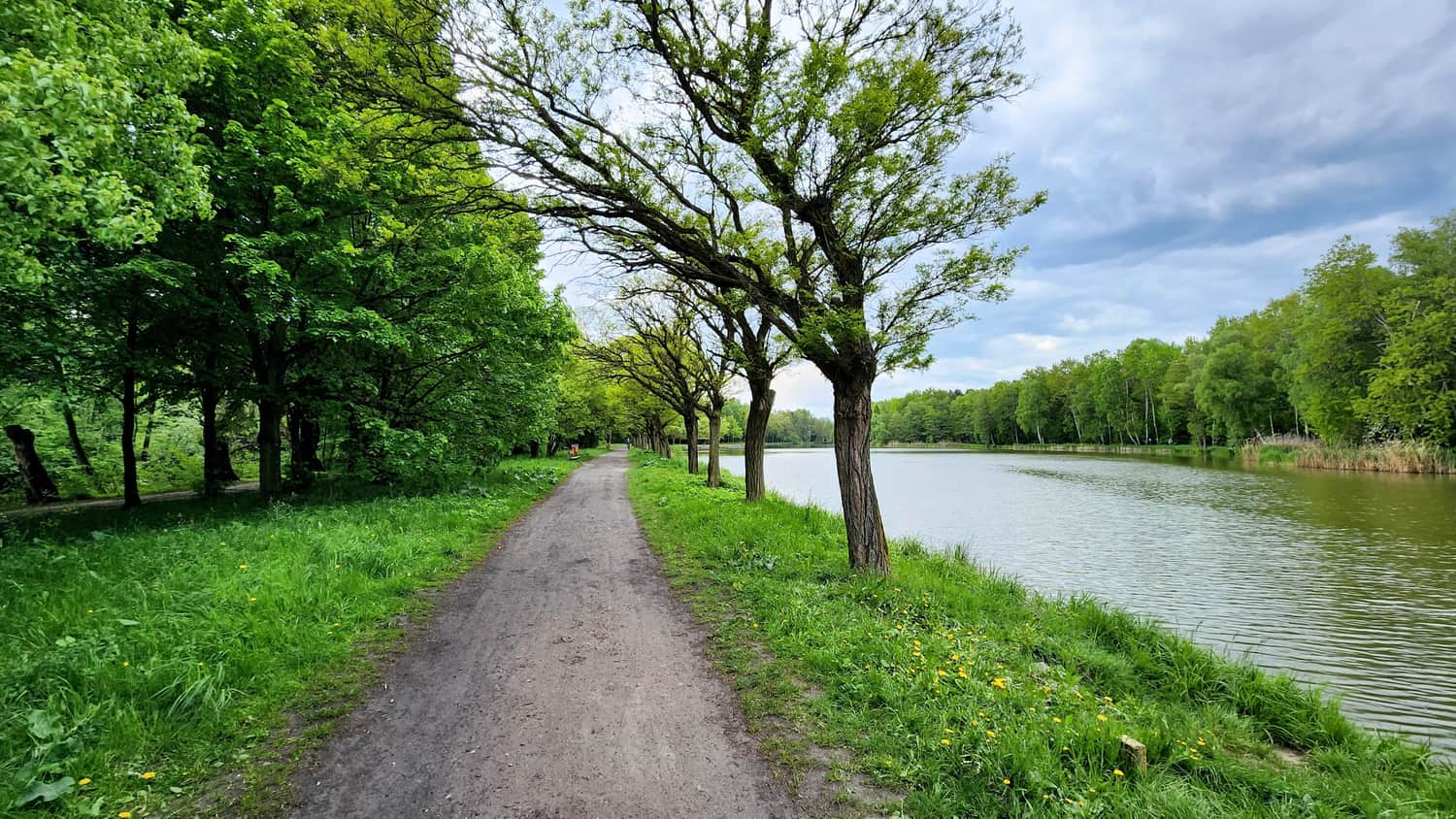 Path by the Northern Border of the Park by Smug Lake, Jacek Kuroń Park in Kazimierz Górniczy District, Sosnowiec