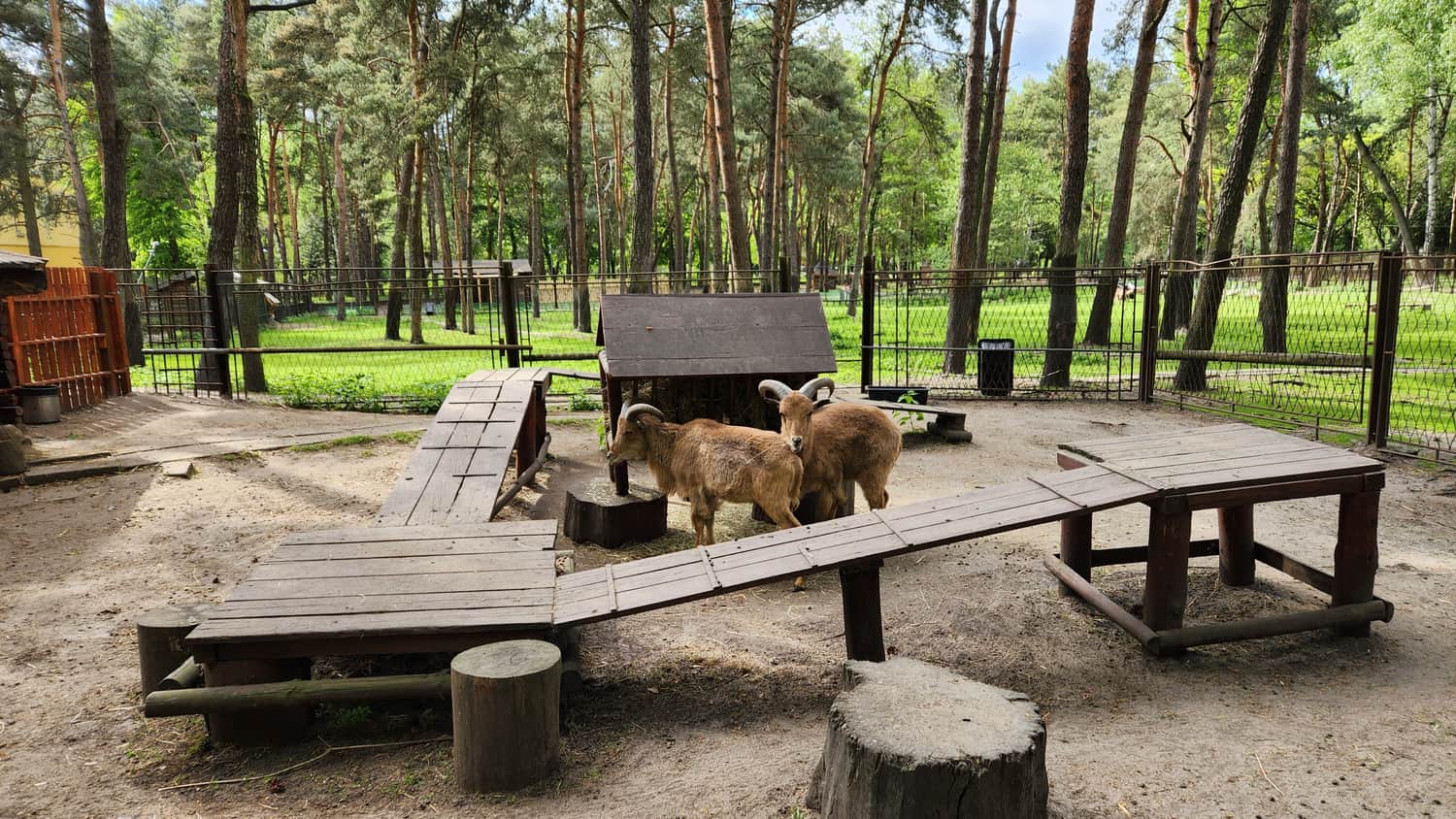 Mini Zoo, Park im. Jacka Kuronia w dzielnicy Kazimierz Górniczy w Sosnowcu