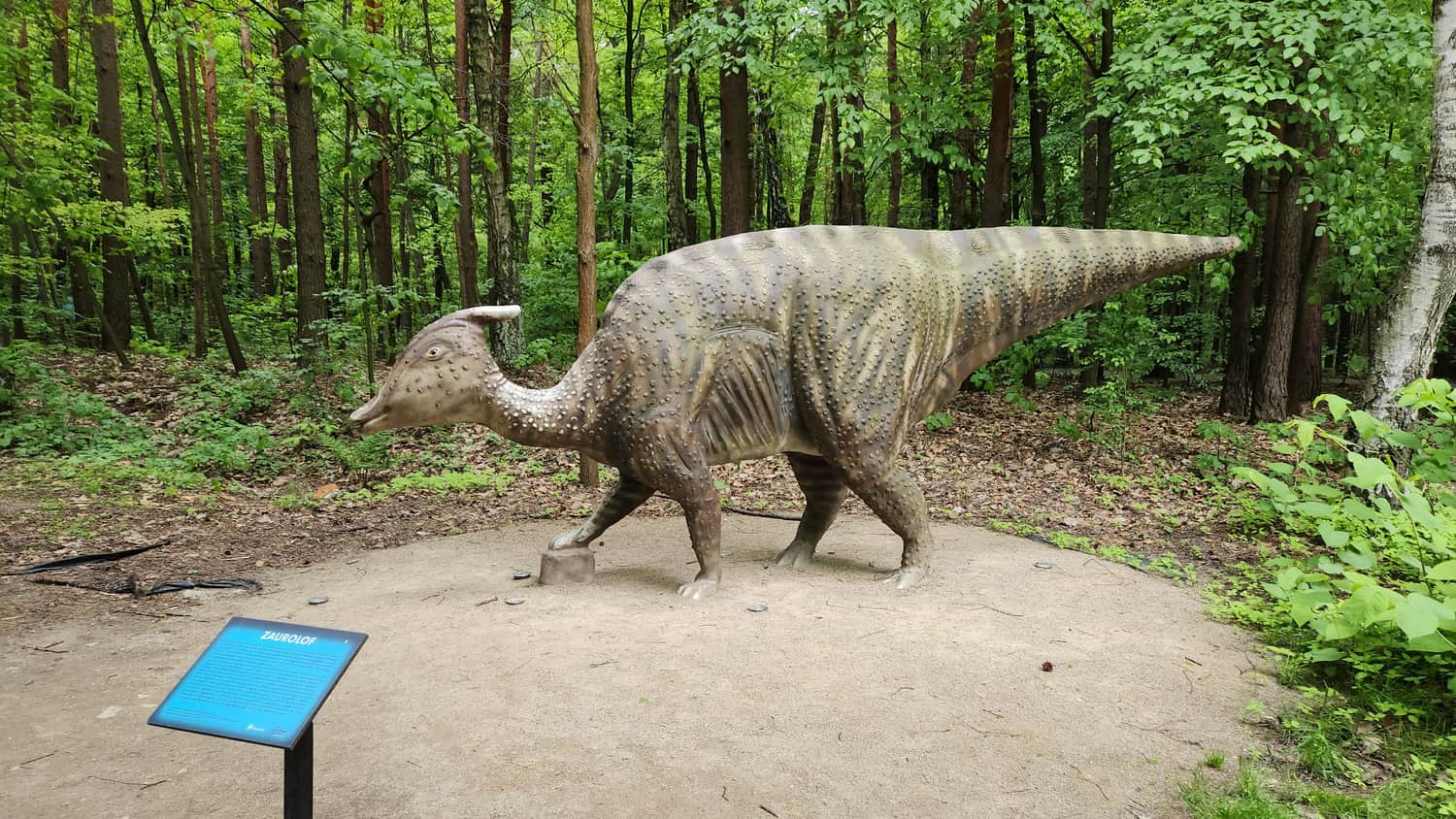 Dino Park, Jacek Kuroń Park in Kazimierz Górniczy District, Sosnowiec