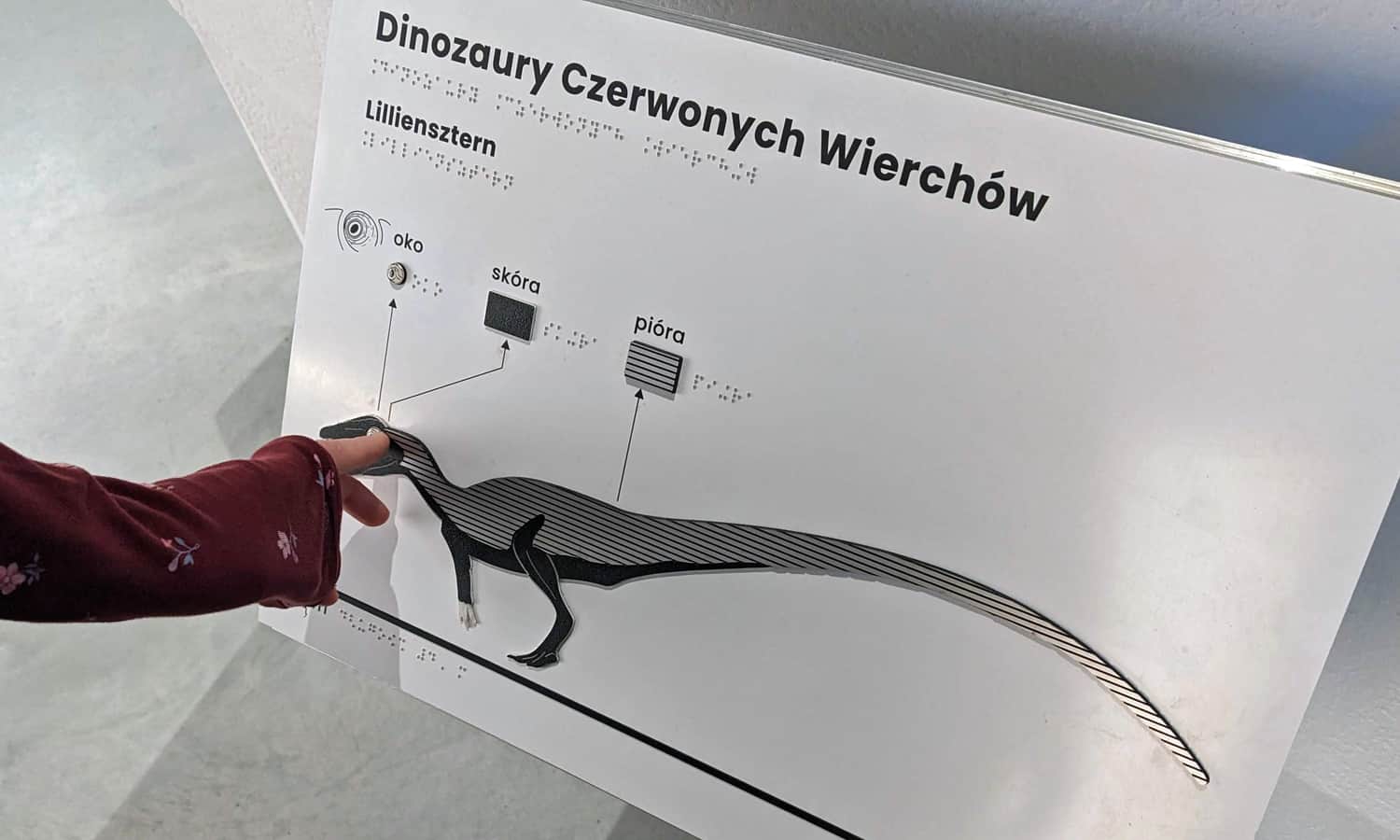 Tatrzańskie Archiwum Planety Ziemia - tablice dotykowe to atrakcja nie tylko dla osób z niepełnosprawnościami