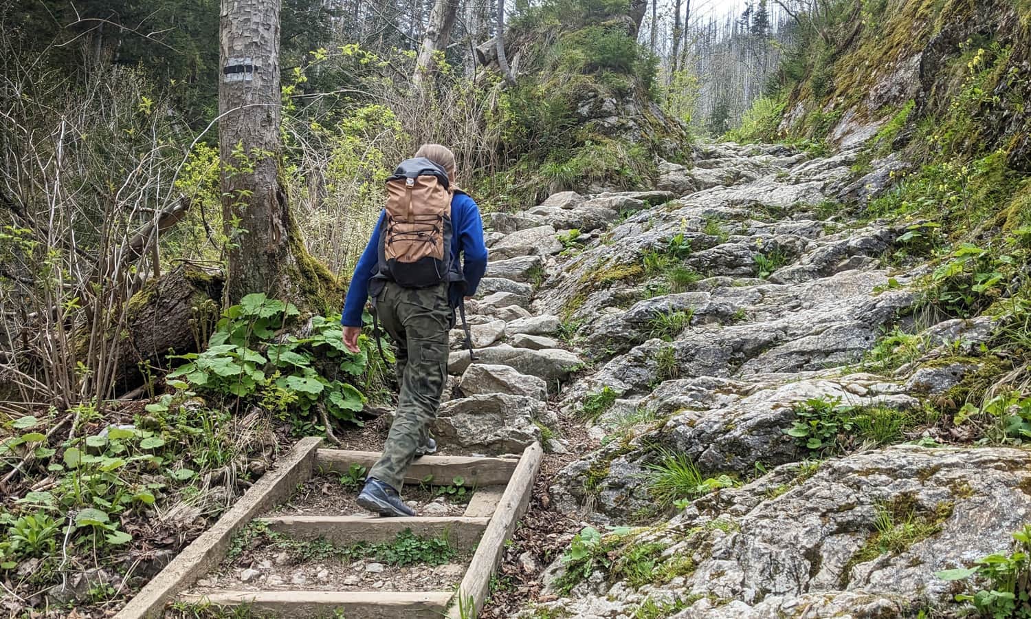 The Black Trail from Kościeliska Valley to Mroźna Cave