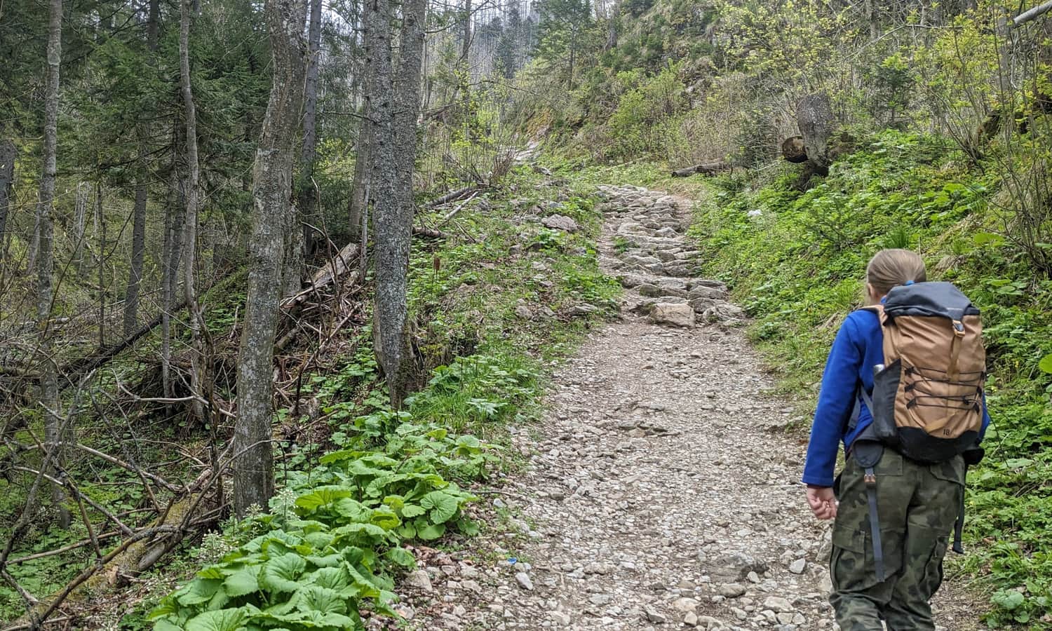 The Black Trail from Kościeliska Valley to Mroźna Cave