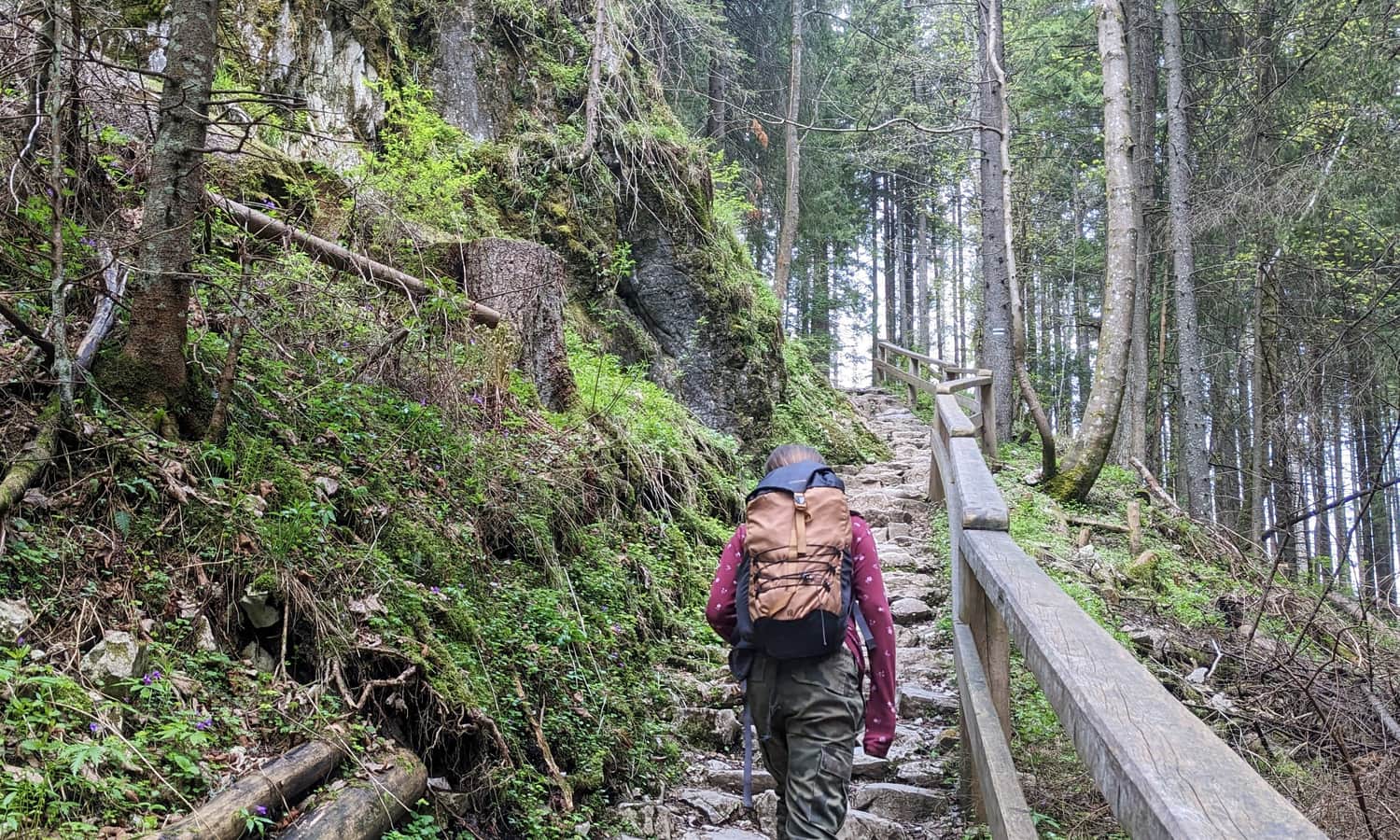 The Black Trail from Kościeliska Valley to Mroźna Cave
