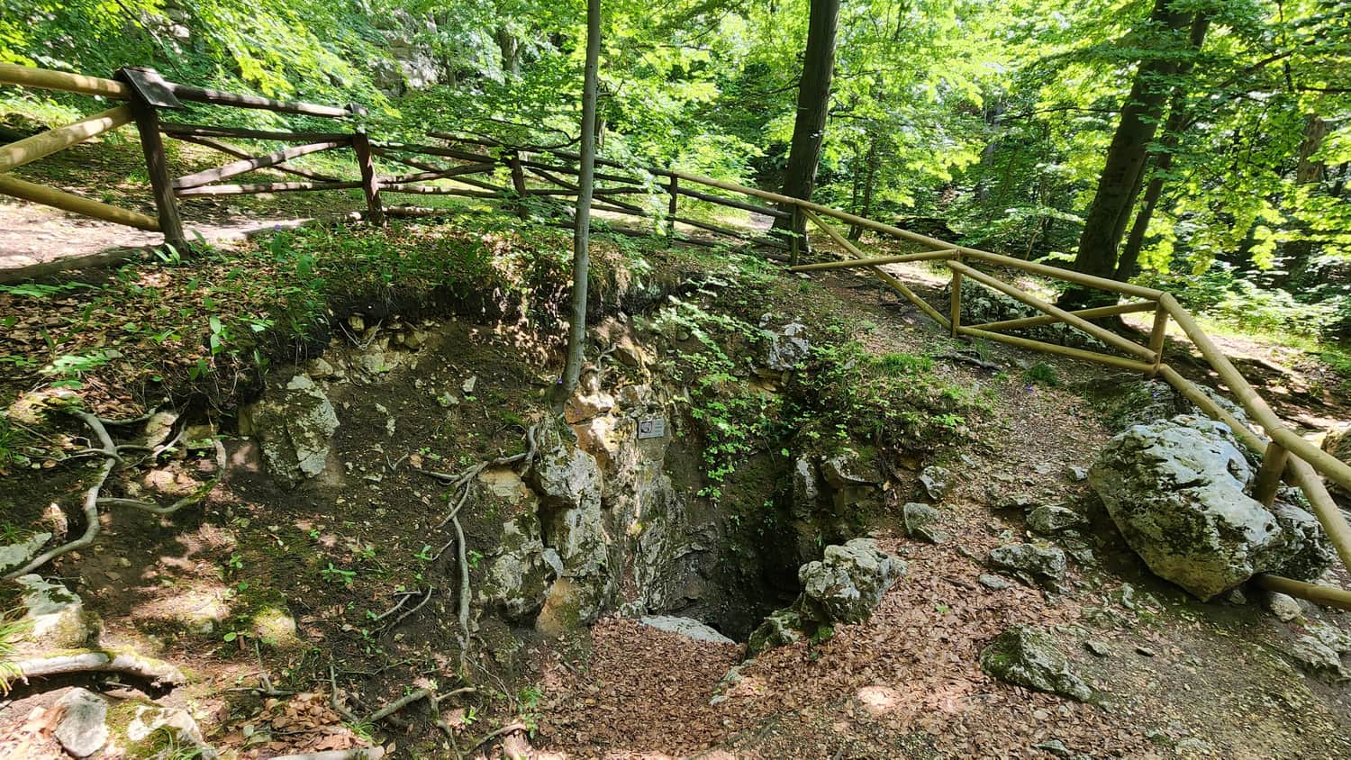 Studnia Zygmunta, Rezerwat Sokole Góry