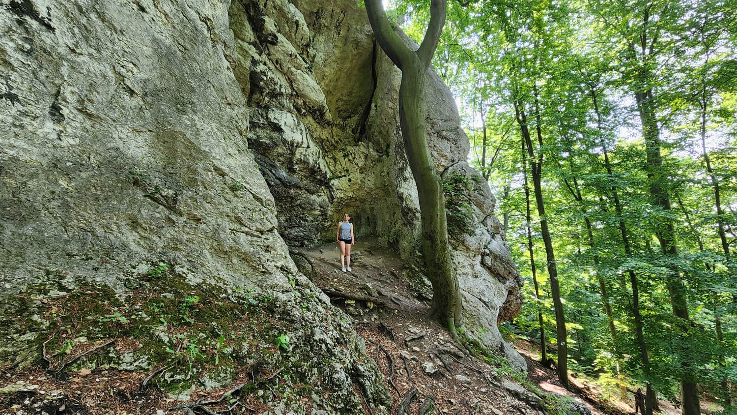 Skała Bonifacy, Rezerwat Sokole Góry