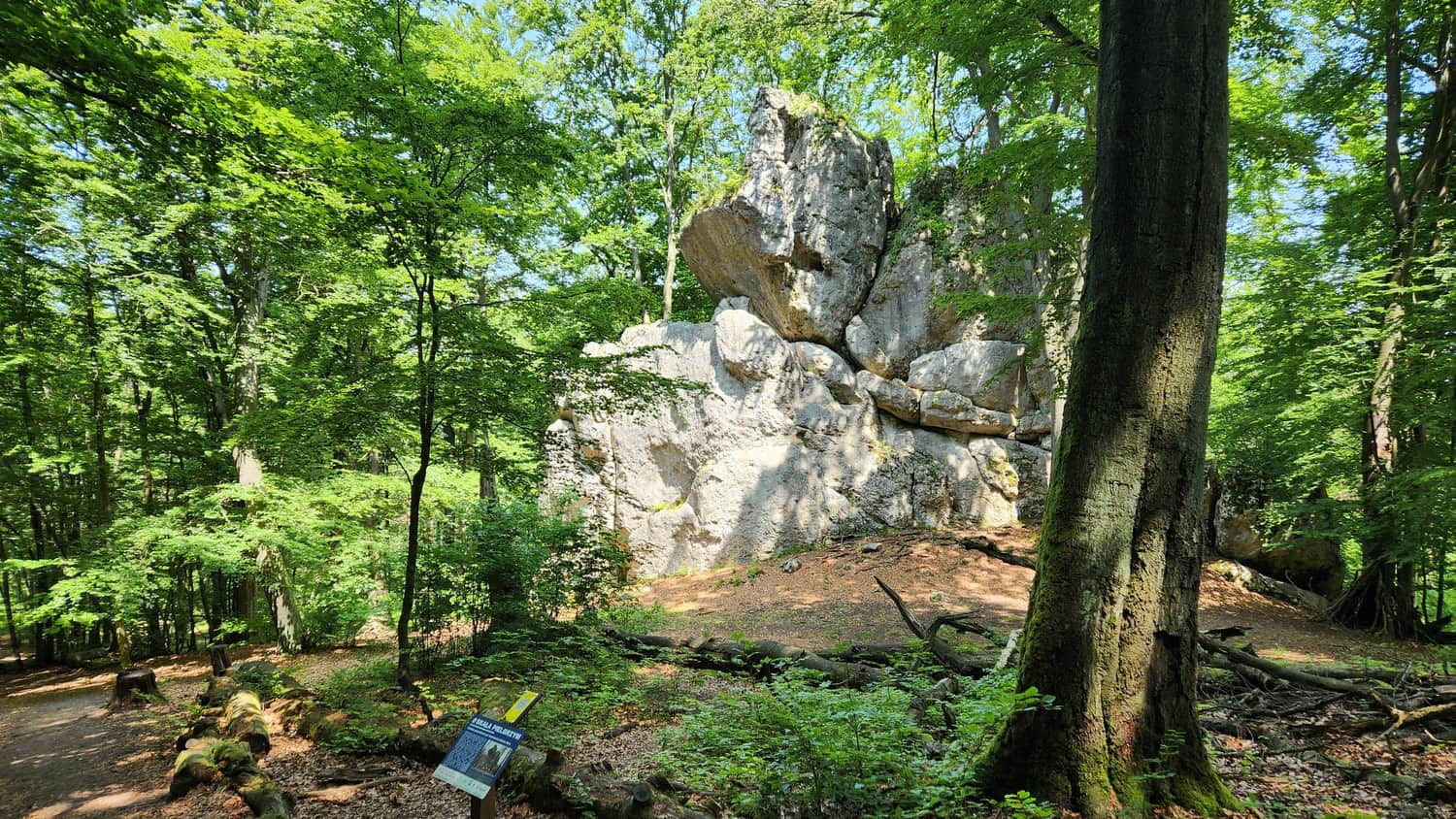 Skała Pielgrzym, Rezerwat Sokole Góry
