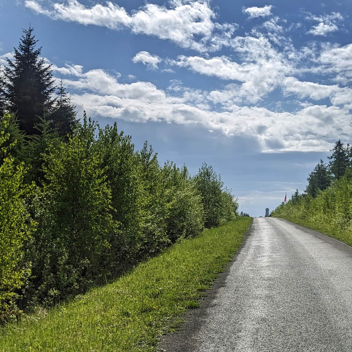 Wieża widokowa na Holicy - najłatwiejszy szlak