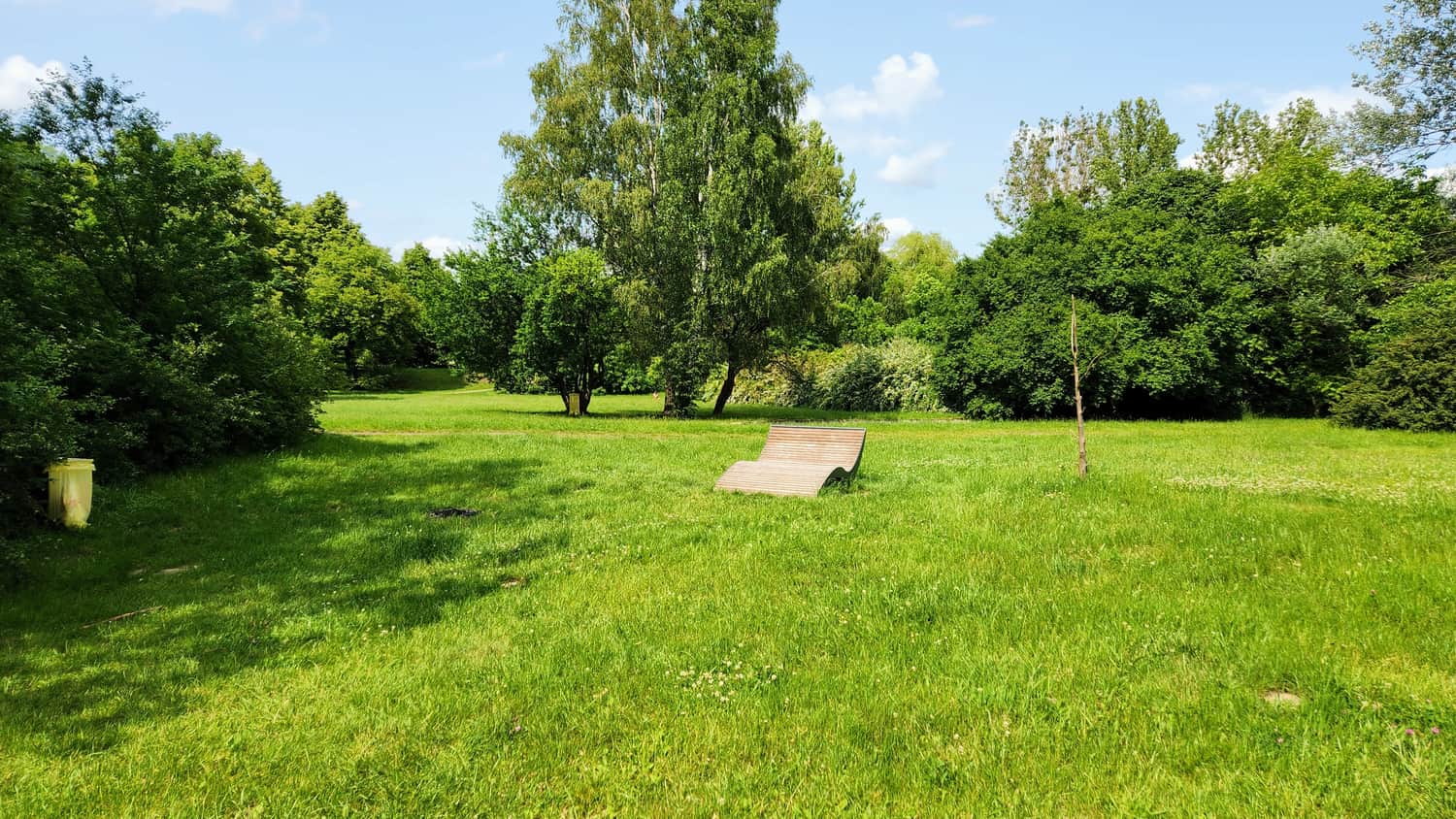 Meadow by the Pacific Lake