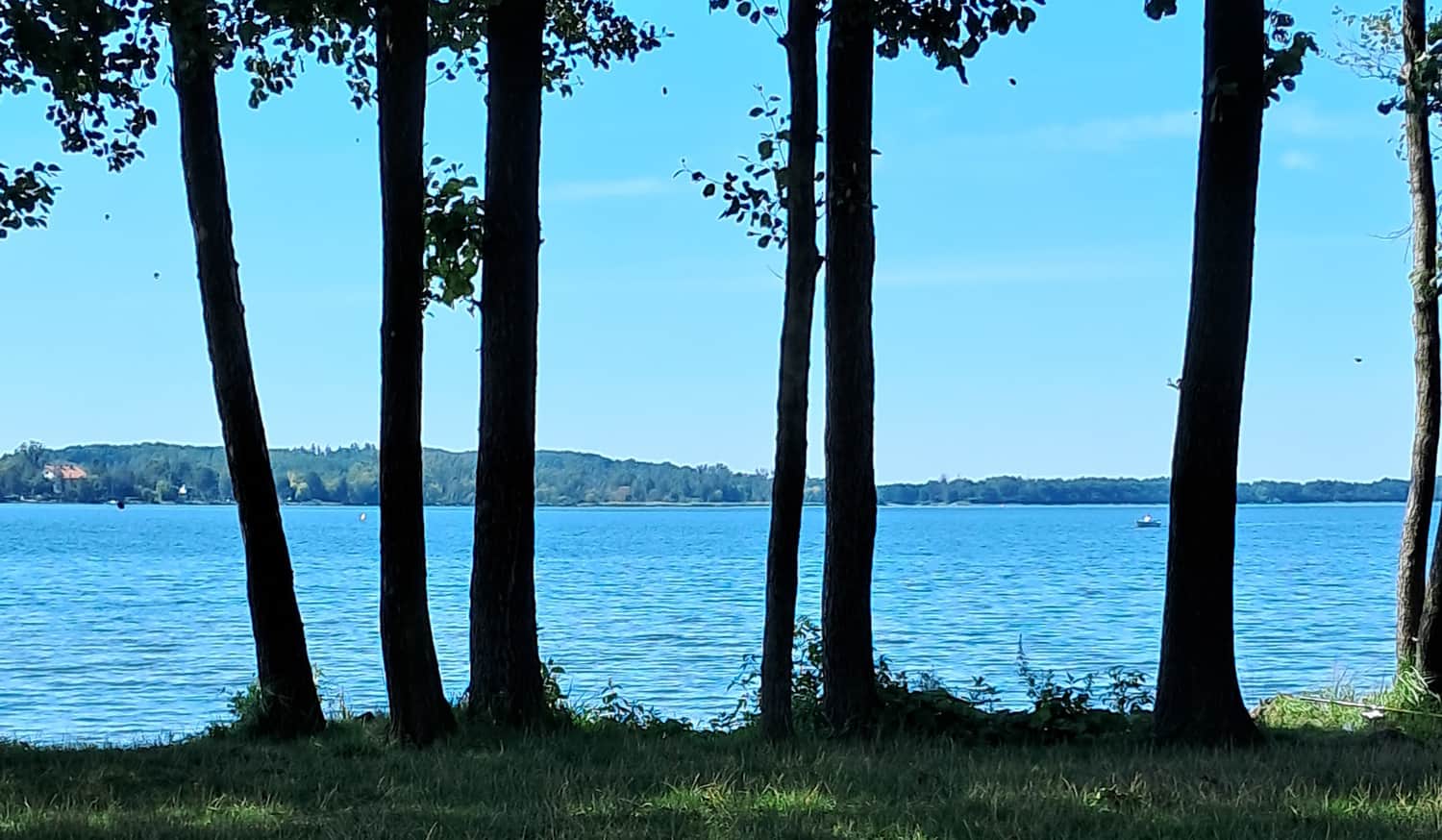 Pławniowice Lake, photo by Renata Renia