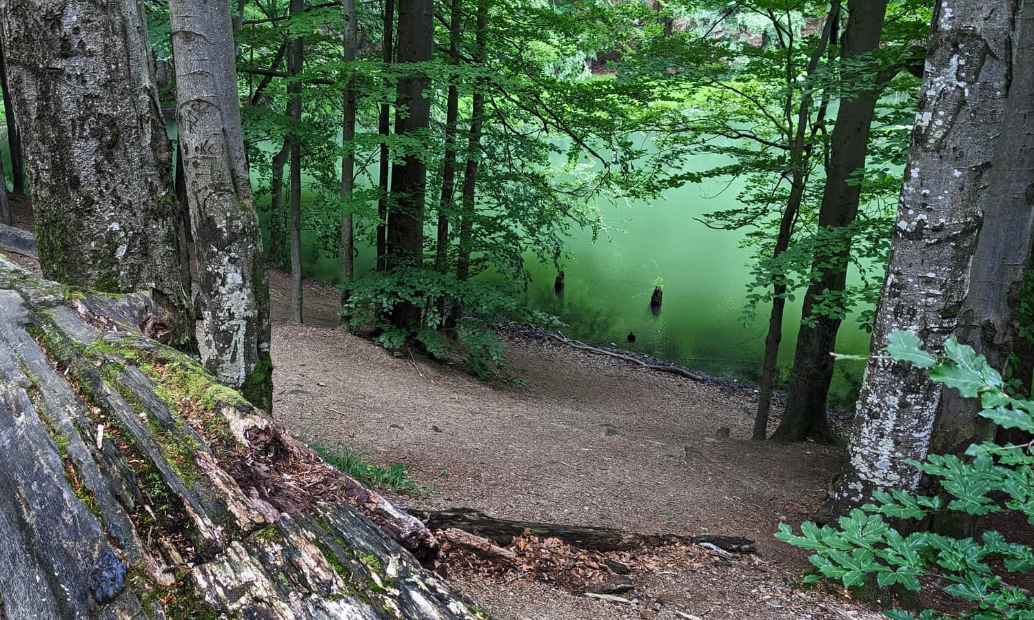 Jeziorka Duszatyńskie koło Komańczy