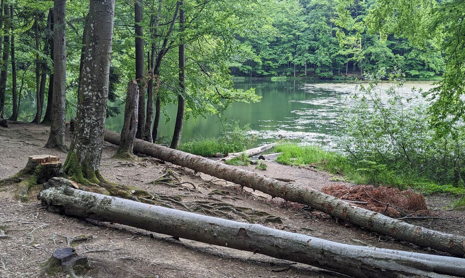 Jeziorka Duszatyńskie - 