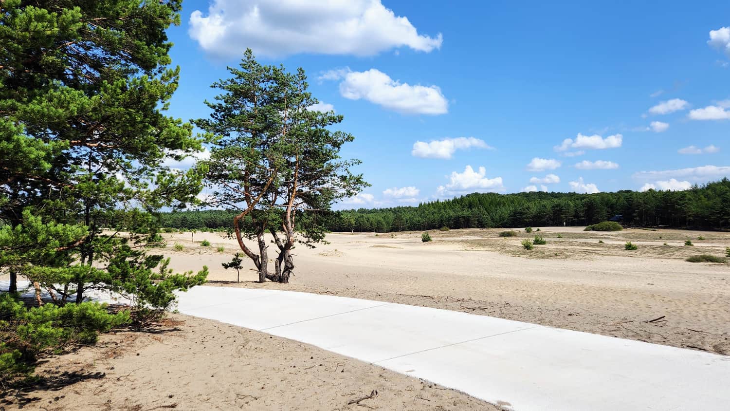 Pustynia Błędowska, ścieżka pieszo-rowerowa