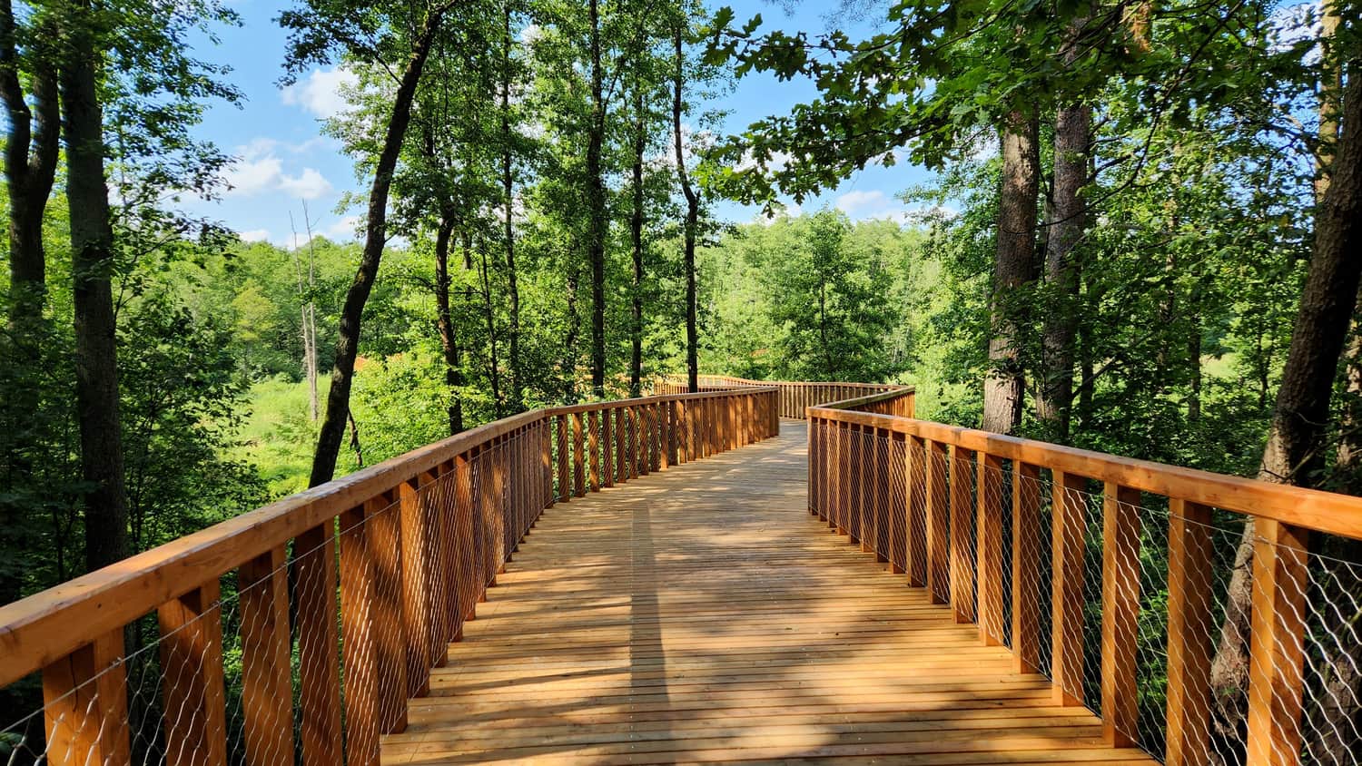 Nowe drewniane pomosty na Pustyni Błędowskiej