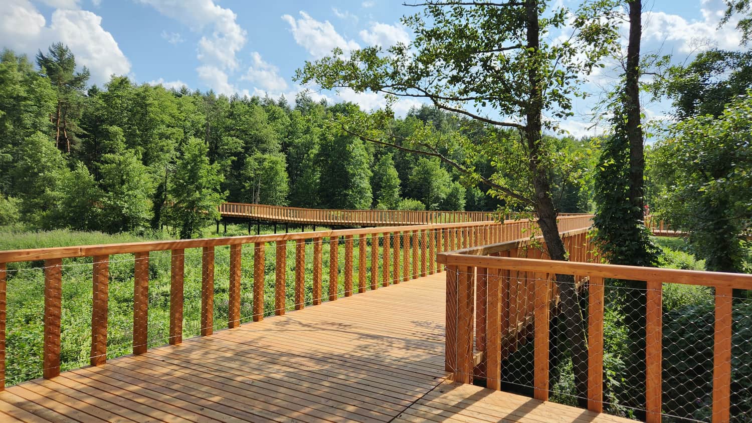 Nowe drewniane pomosty na Pustyni Błędowskiej