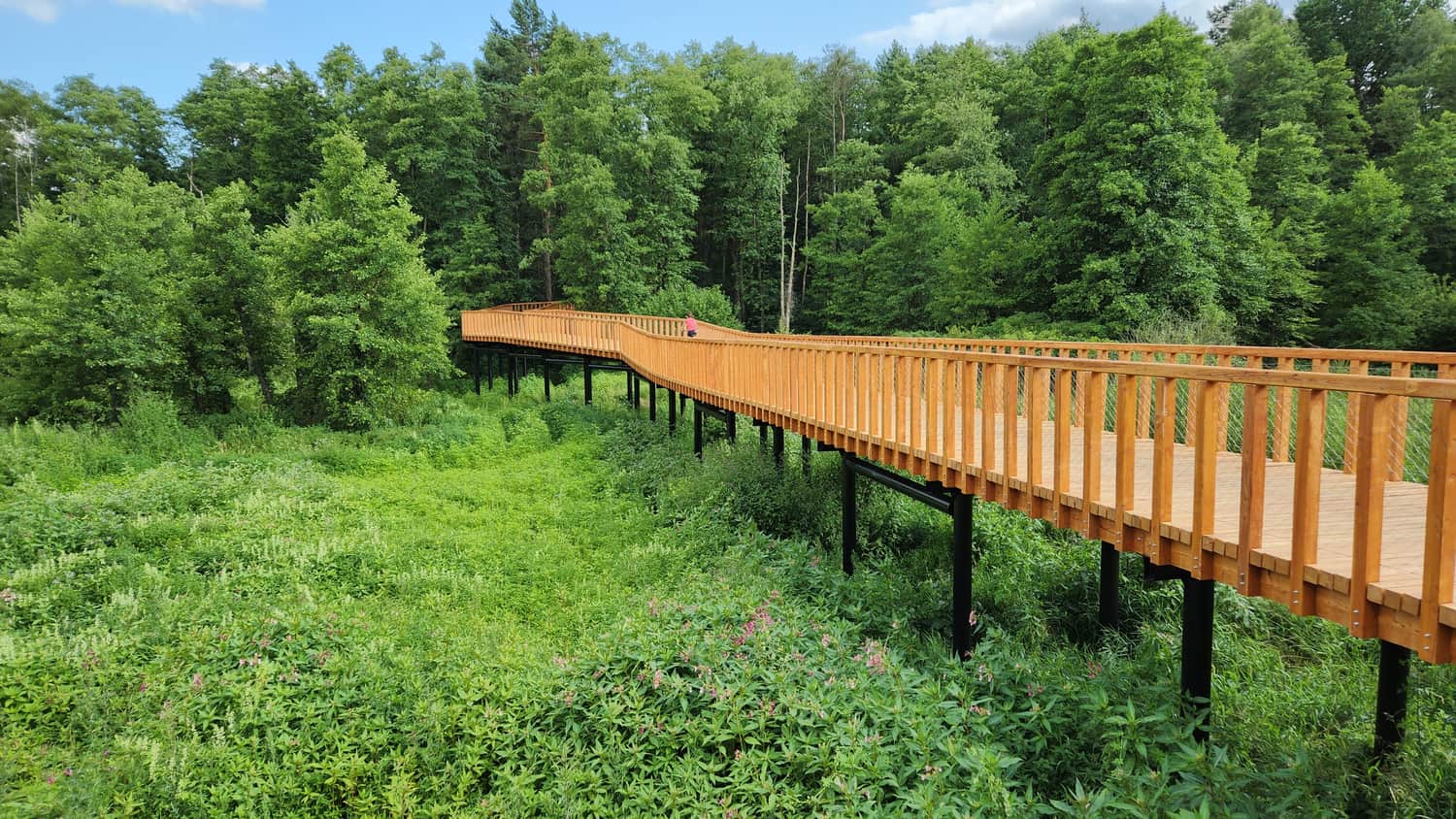 Nowe drewniane pomosty na Pustyni Błędowskiej