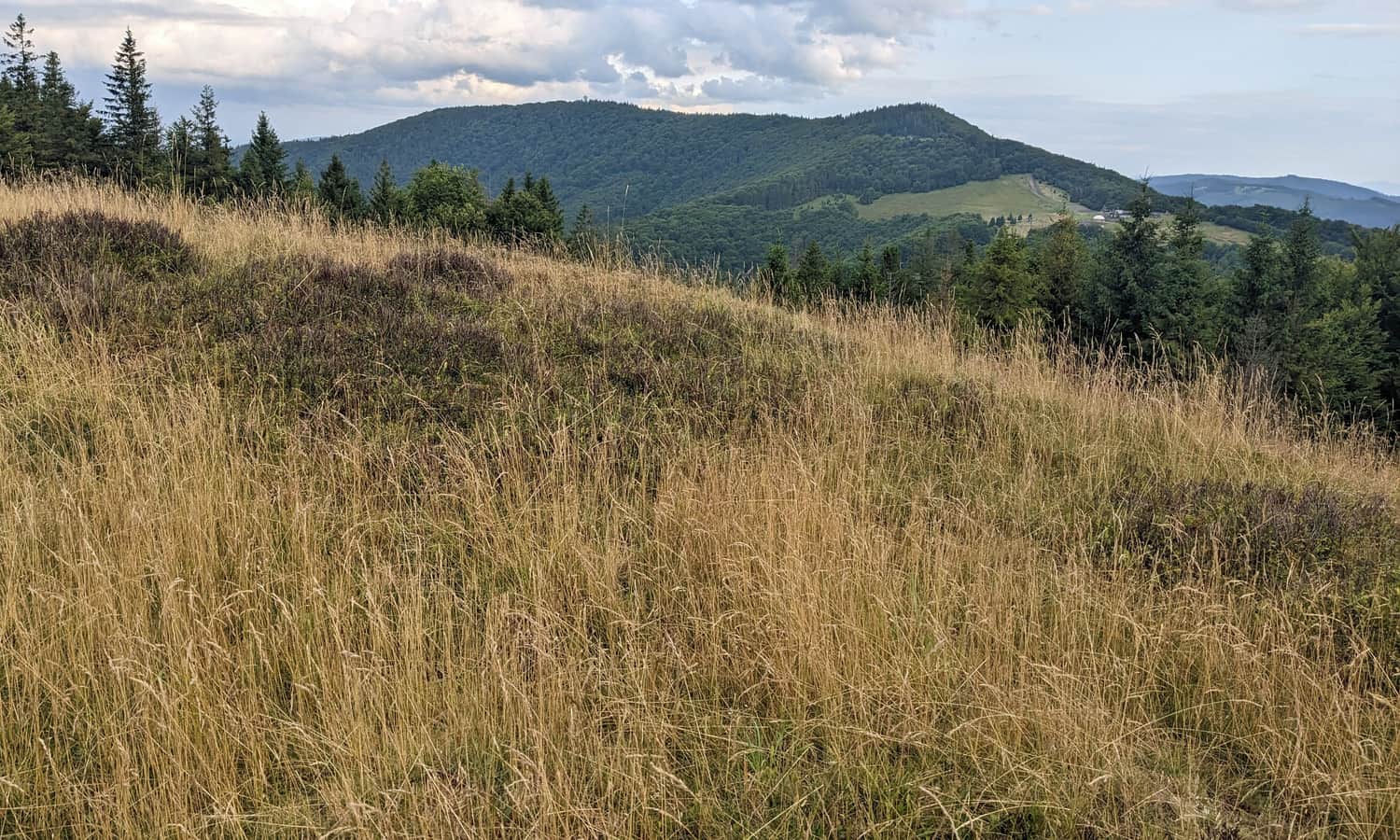 Mała Czantoria, 866 m n.p.m. - widok ze szczytu na Wielką Czantorię i polanę Poniwiec