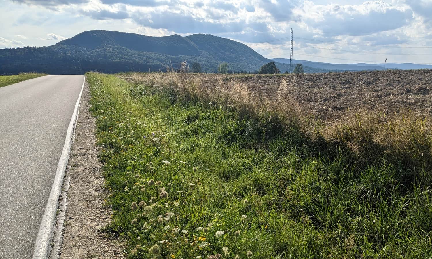 Góra Cergowa od północengo wschodu. Czerwonym szlak z Lubatowej na Cergową