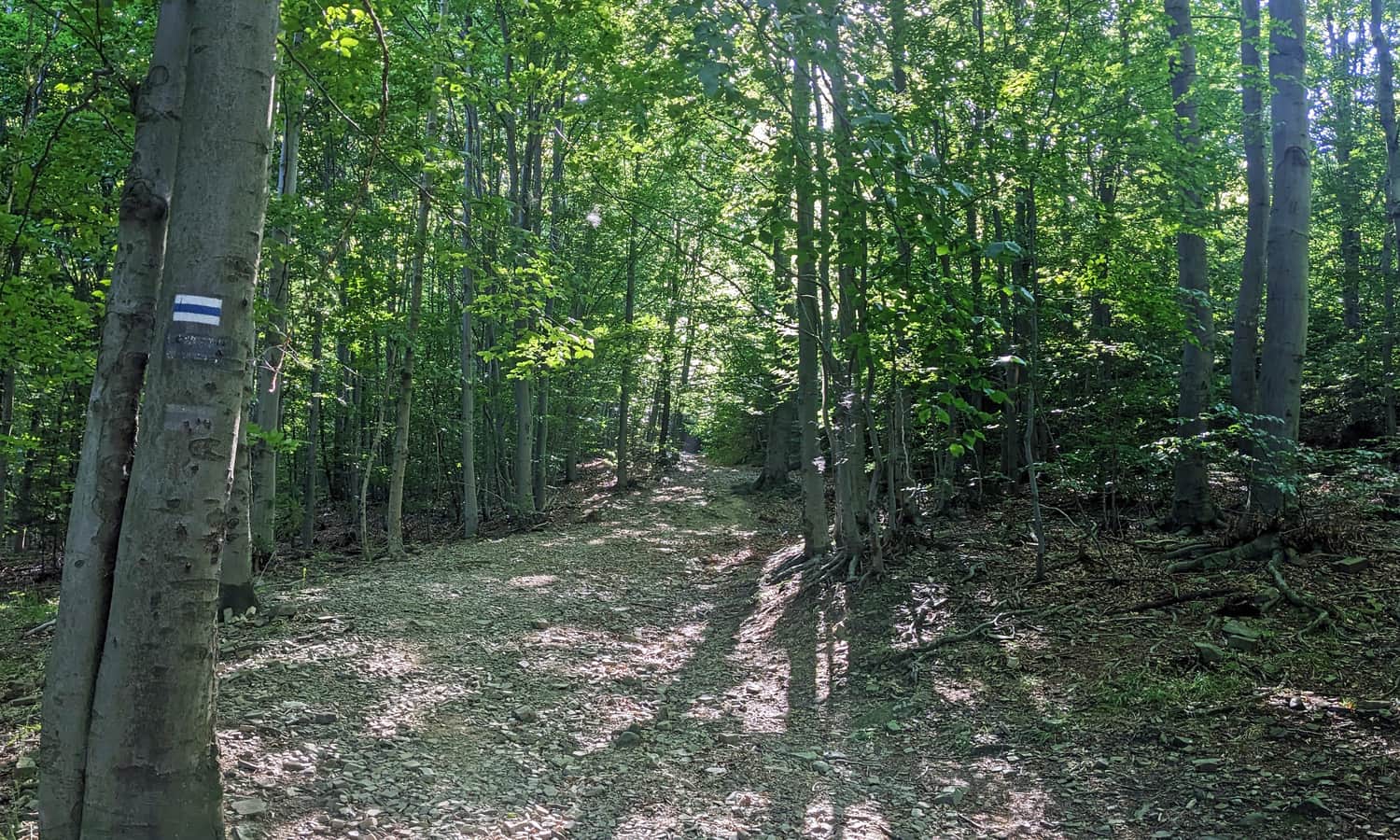 Blue trail to Szyndzielnia
