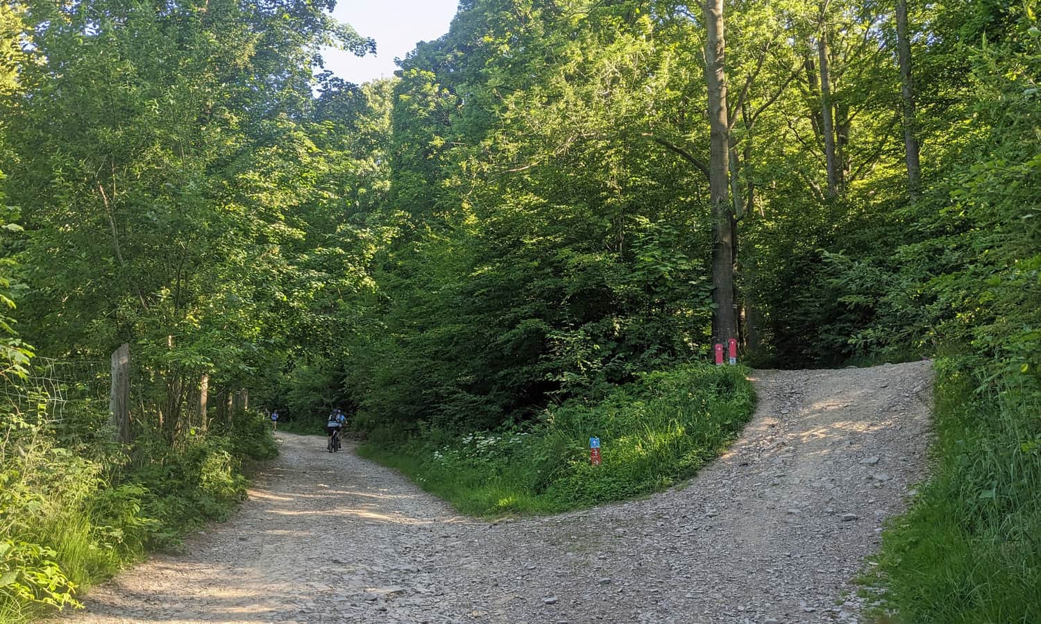 Dylówki Pass. End of the blue trail – now choose the red or green markers