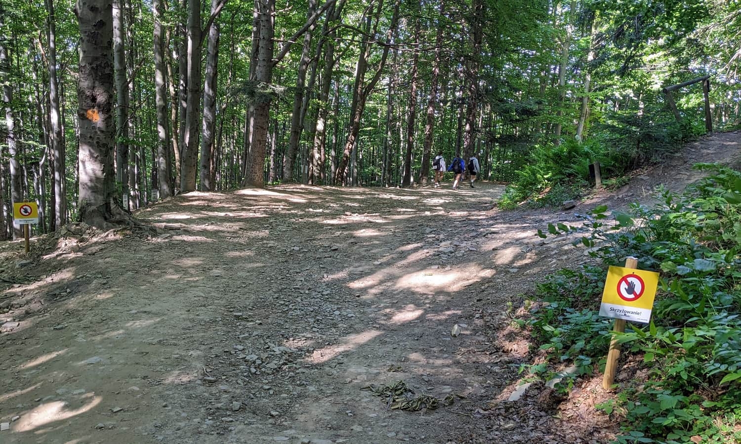 Junction of the red trail with a bike route