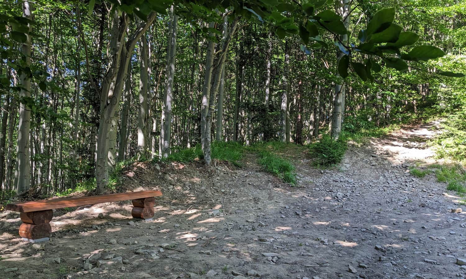 Red trail to Szyndzielnia - several benches along the way