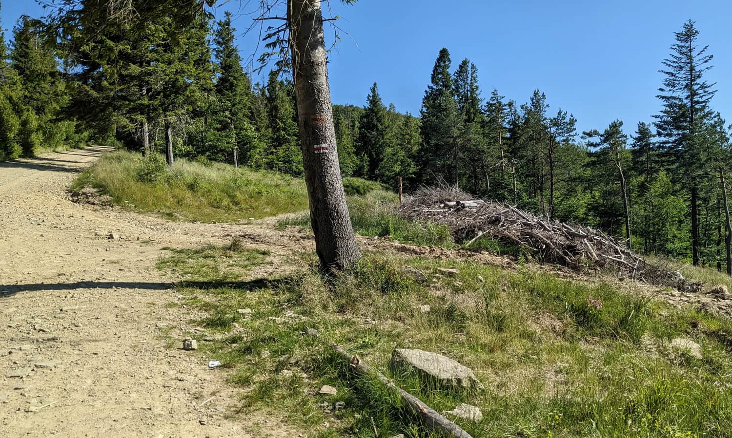 Red trail to Szyndzielnia