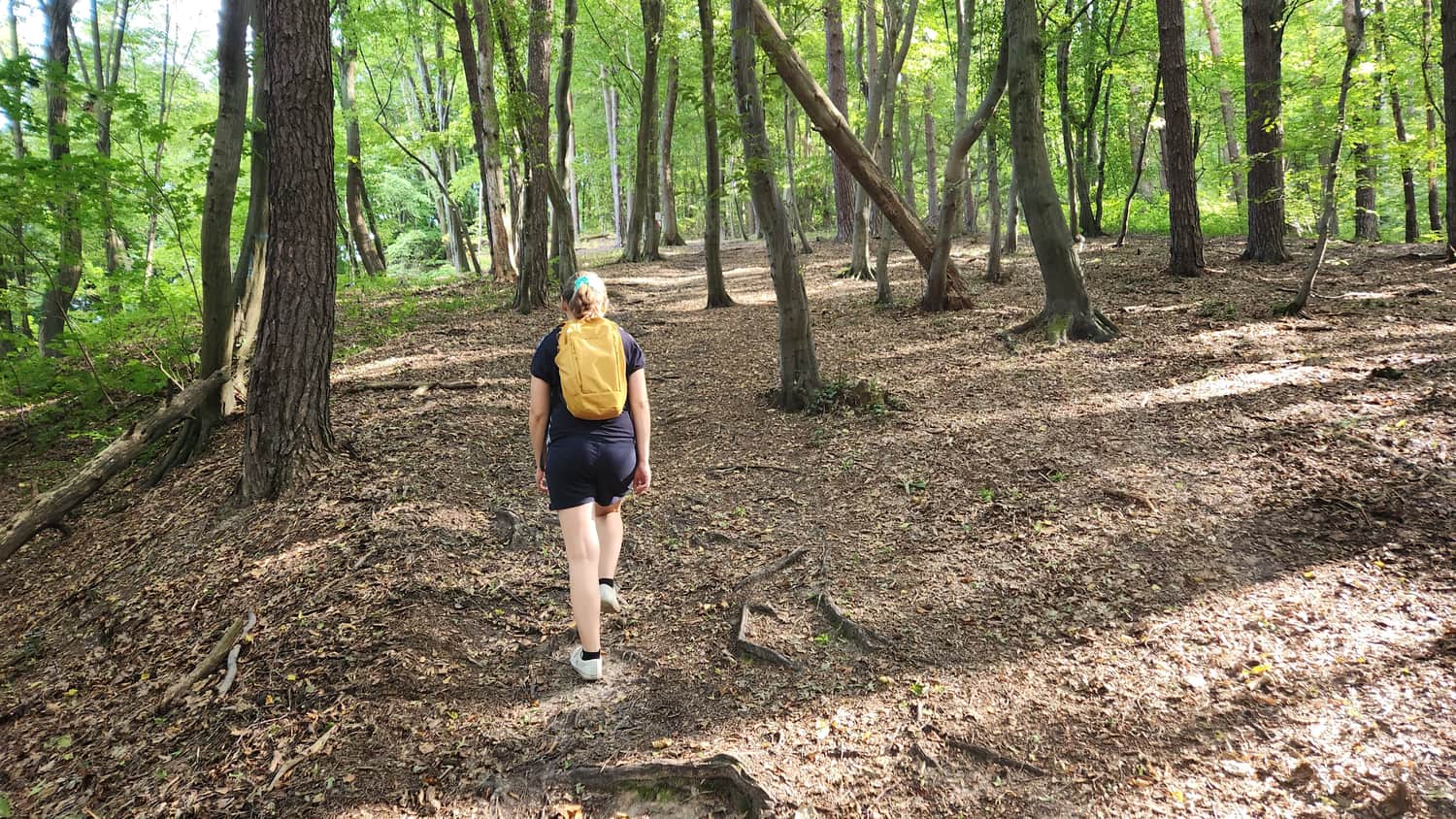 Aleksandrowicka Valley — trail start