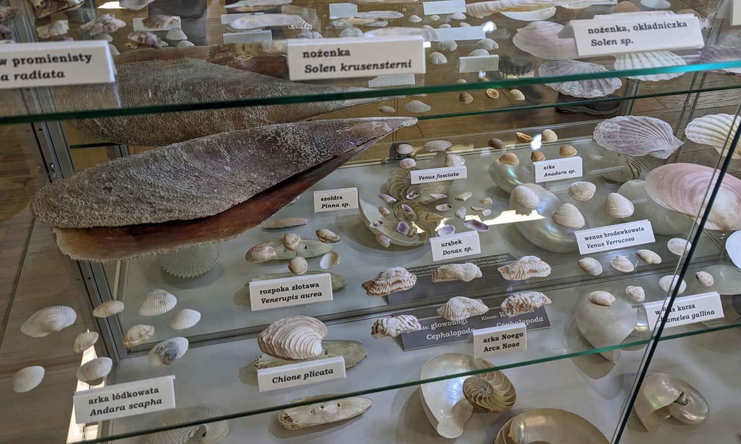 Muzeum Rybołówstwa w Świnoujściu, wystawa przyrodnicza