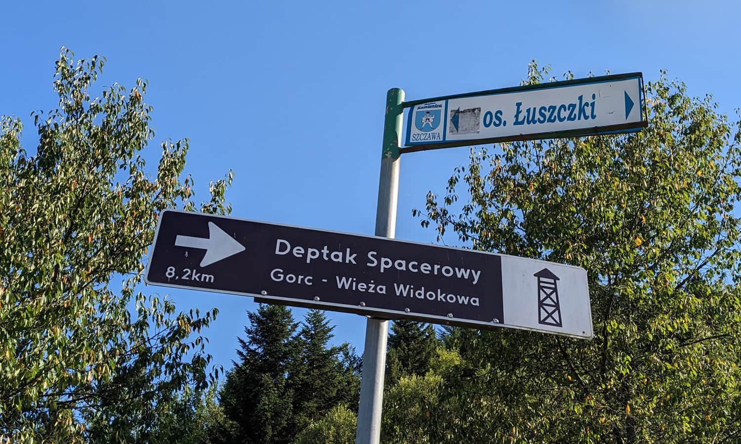 Black trail from Szczawa to Gorc