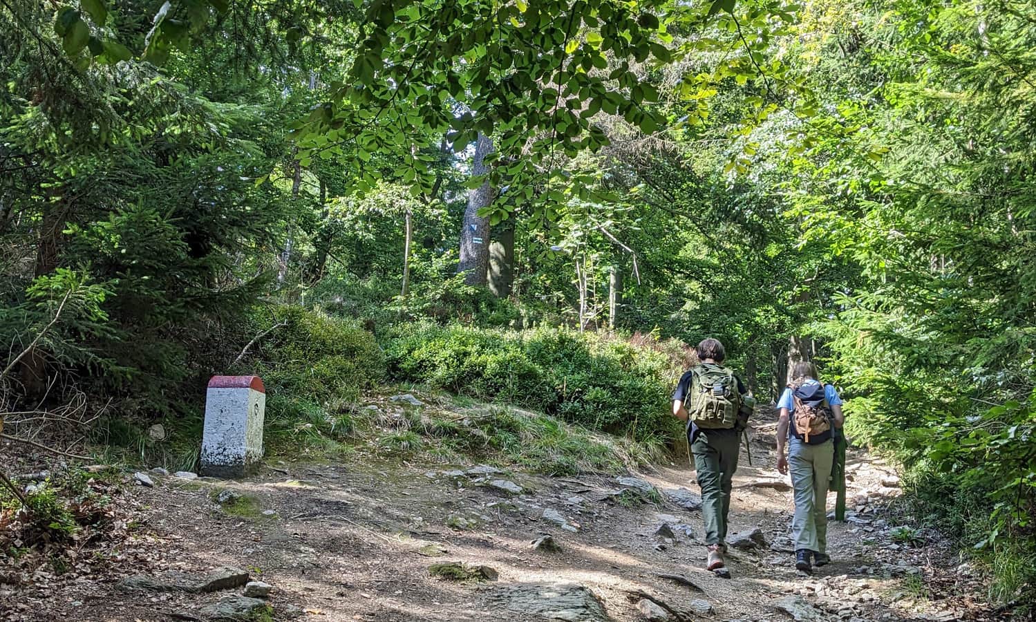 Zielony szlak na Górę Borówkową. Szlak granicą polsko-czeską