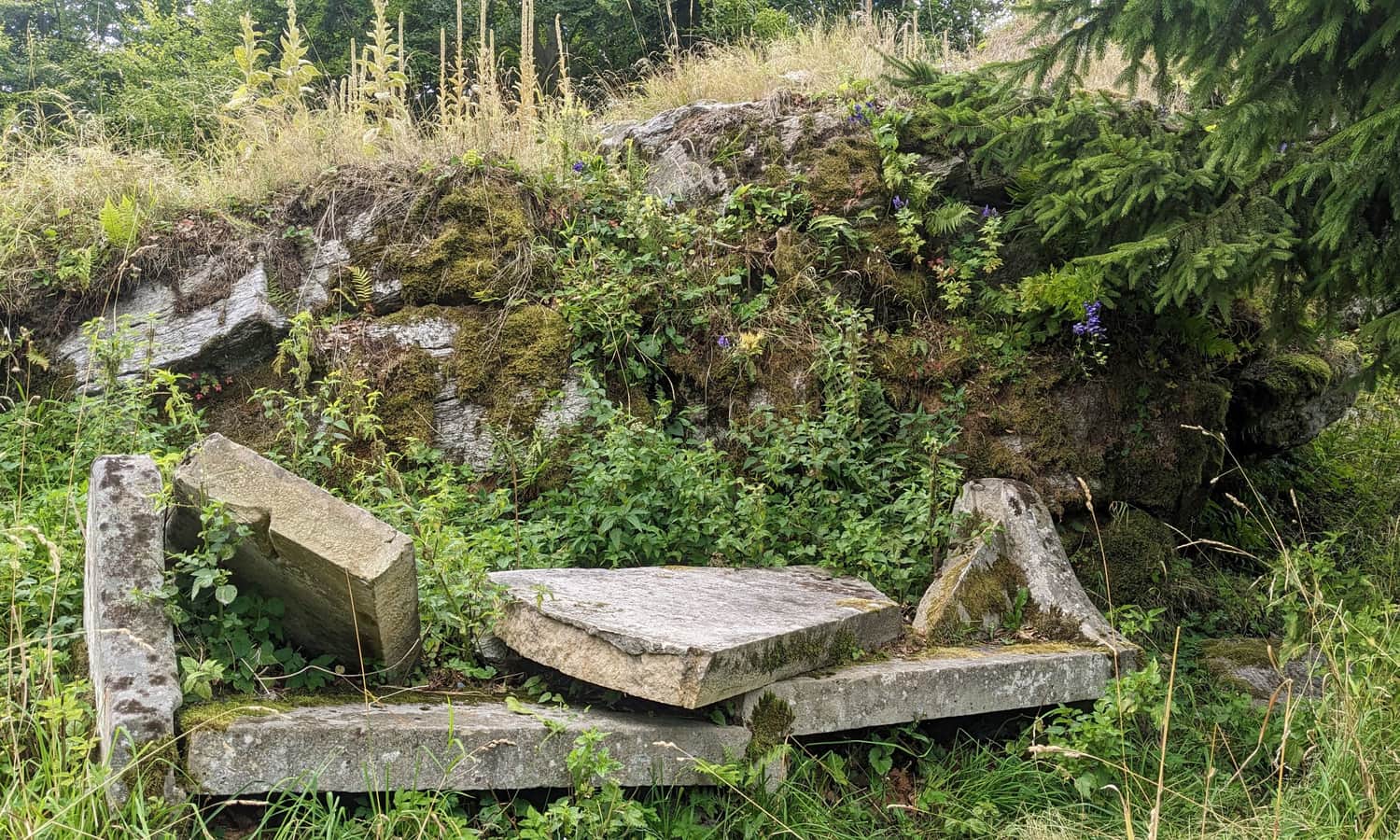 Ruiny Zamku Karpień. Historyczna kamienna ława już złamana... (lato 2025 r.)